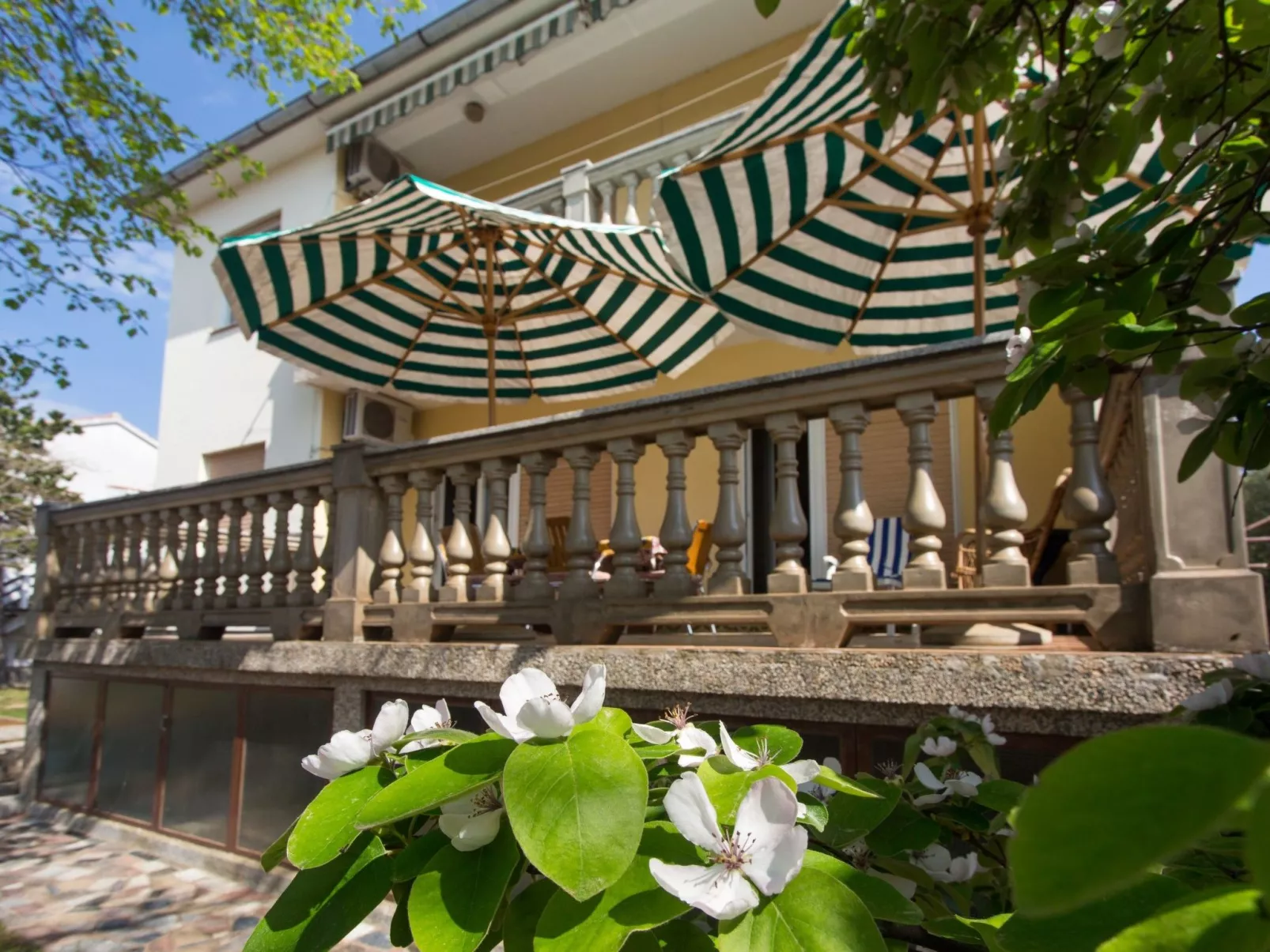 Appartement "Apartman Ester" mit Terrasse