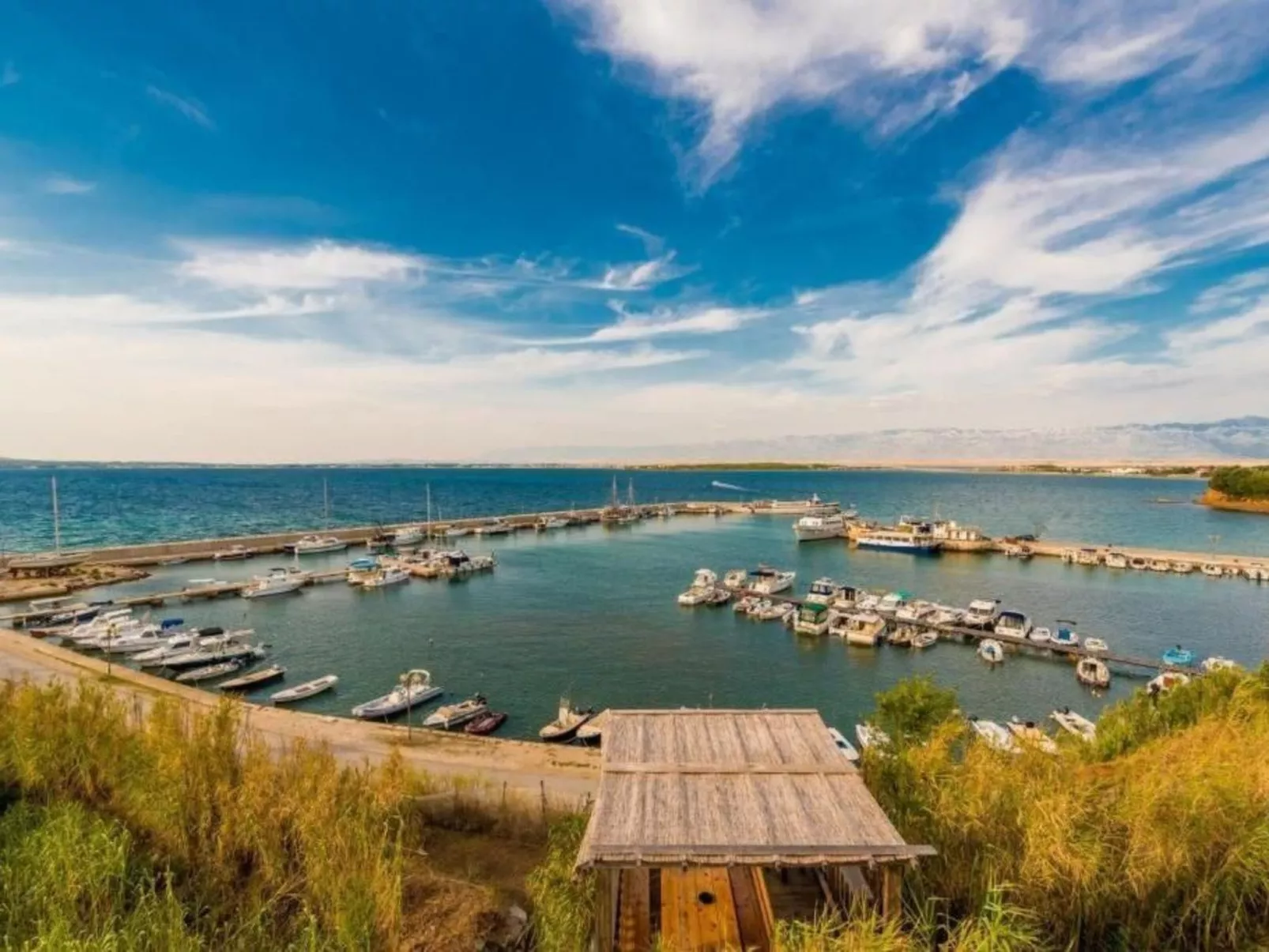 Delfin mit Meerblick - Agentur TA Leut