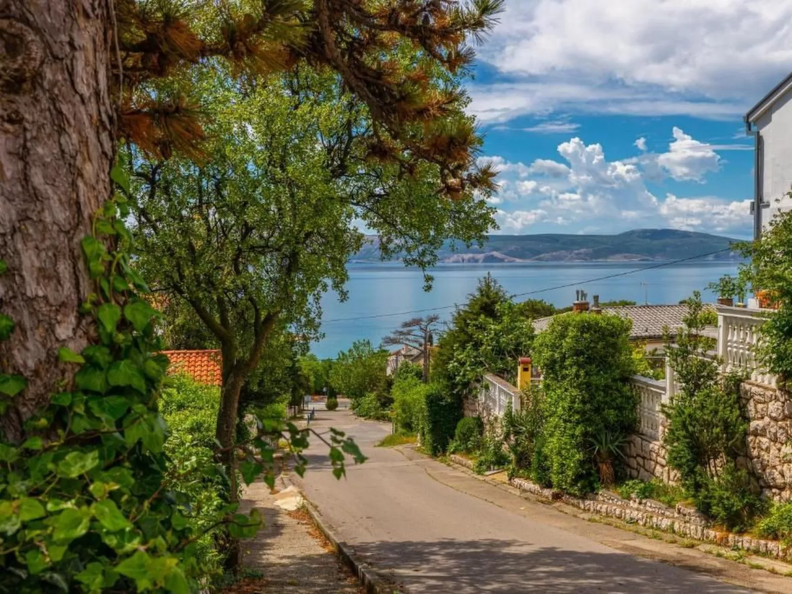 Wohnung Velvet Vista 5