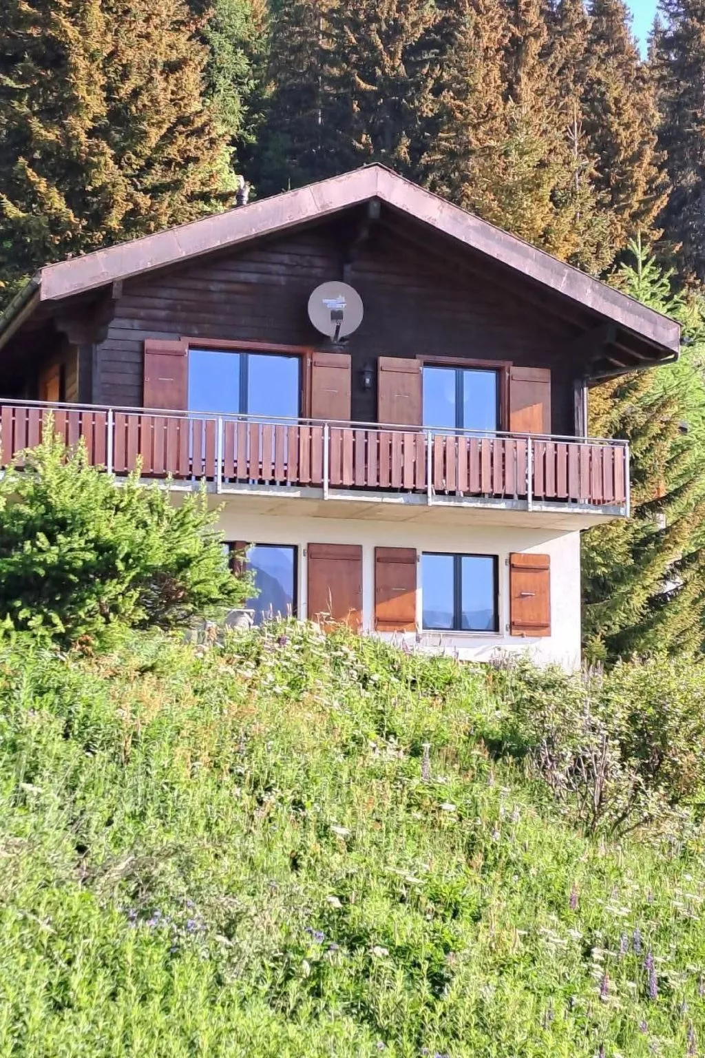 Chalet Brunnquell