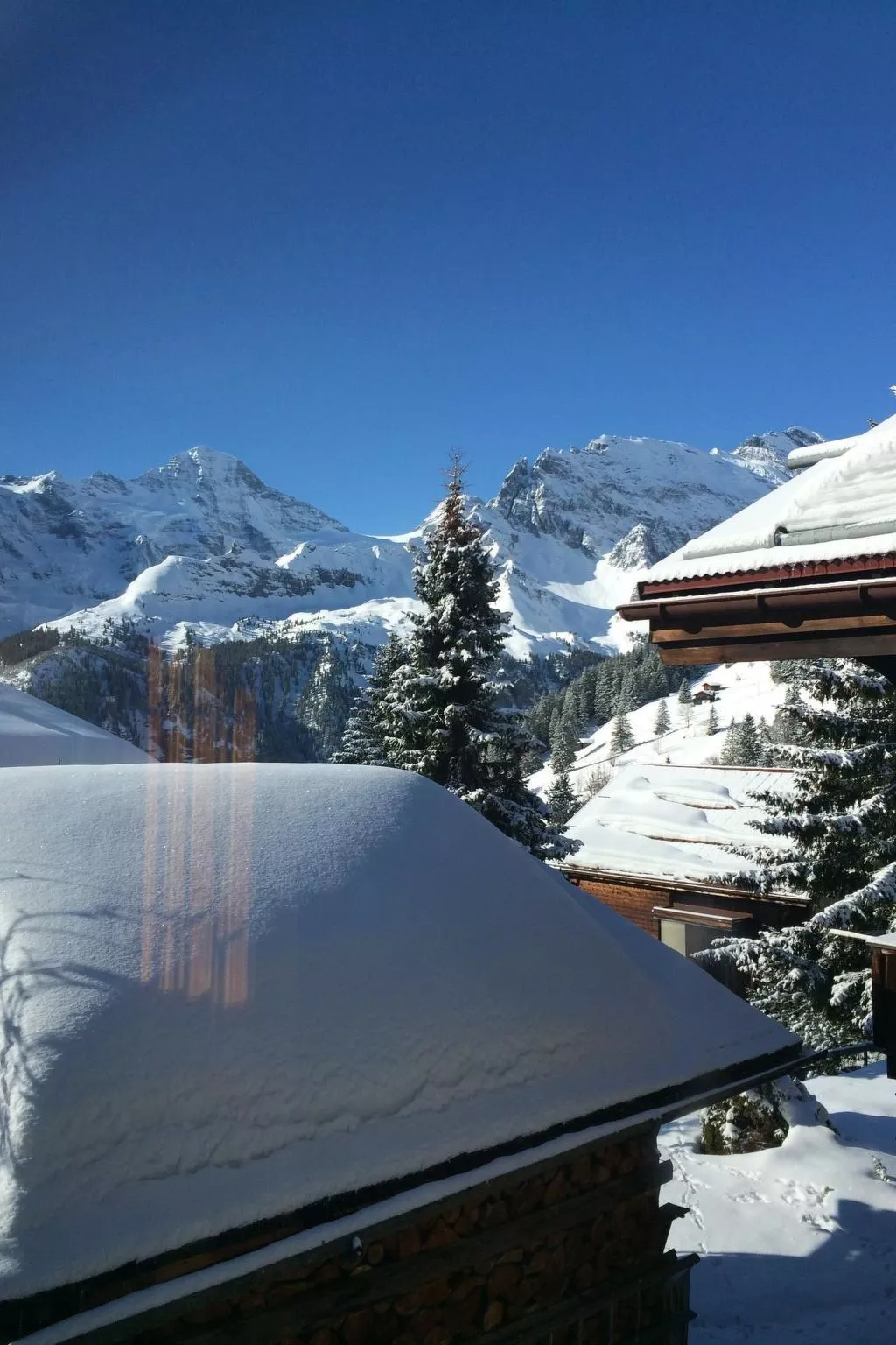Chalet Alpenblick 4-Bett Wohnung