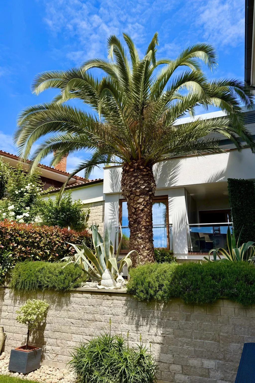 Apartment Superior für 2 Personen