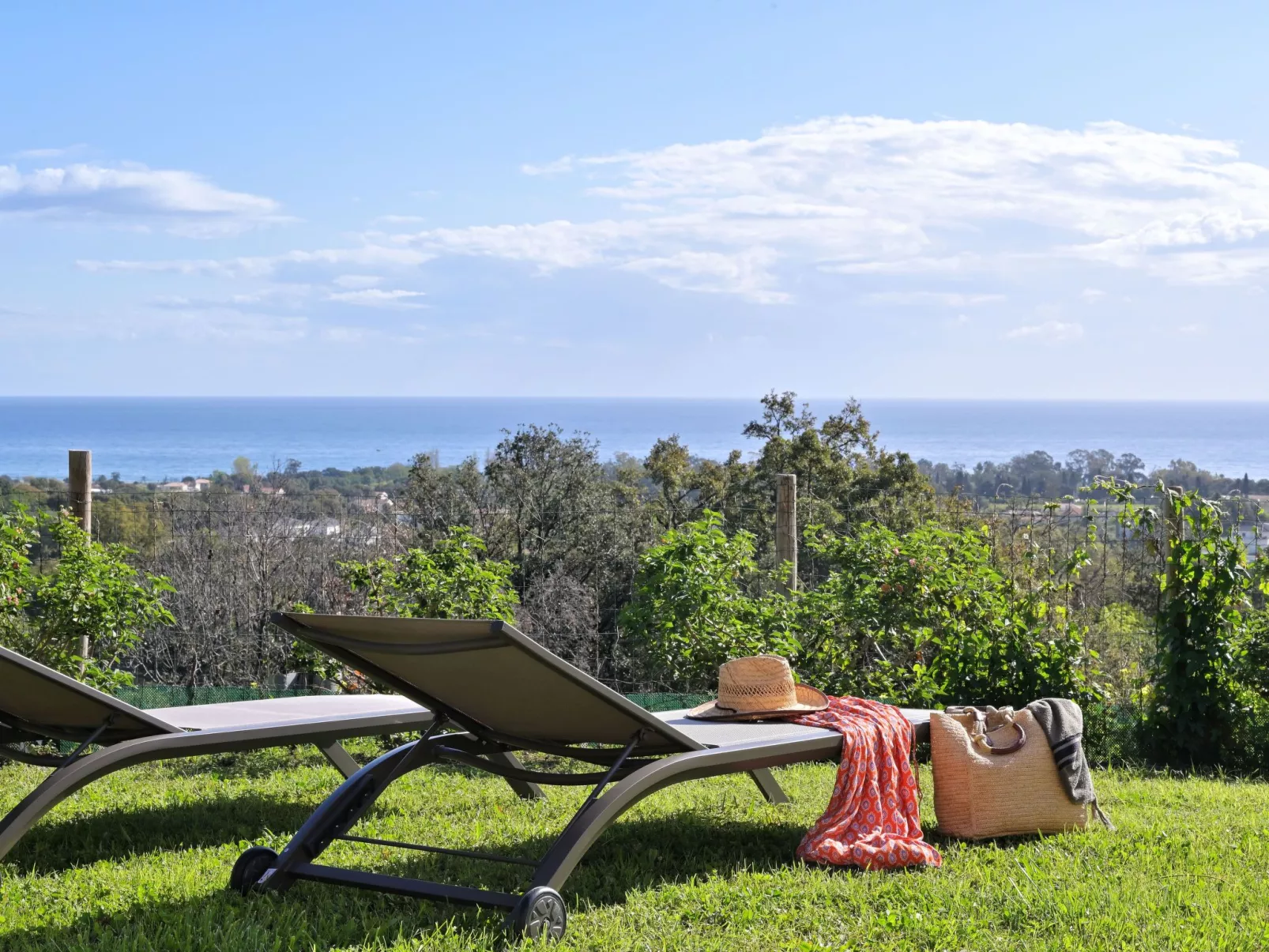 Weingut Punta della Guardia Panorama von Macchia und Meer
