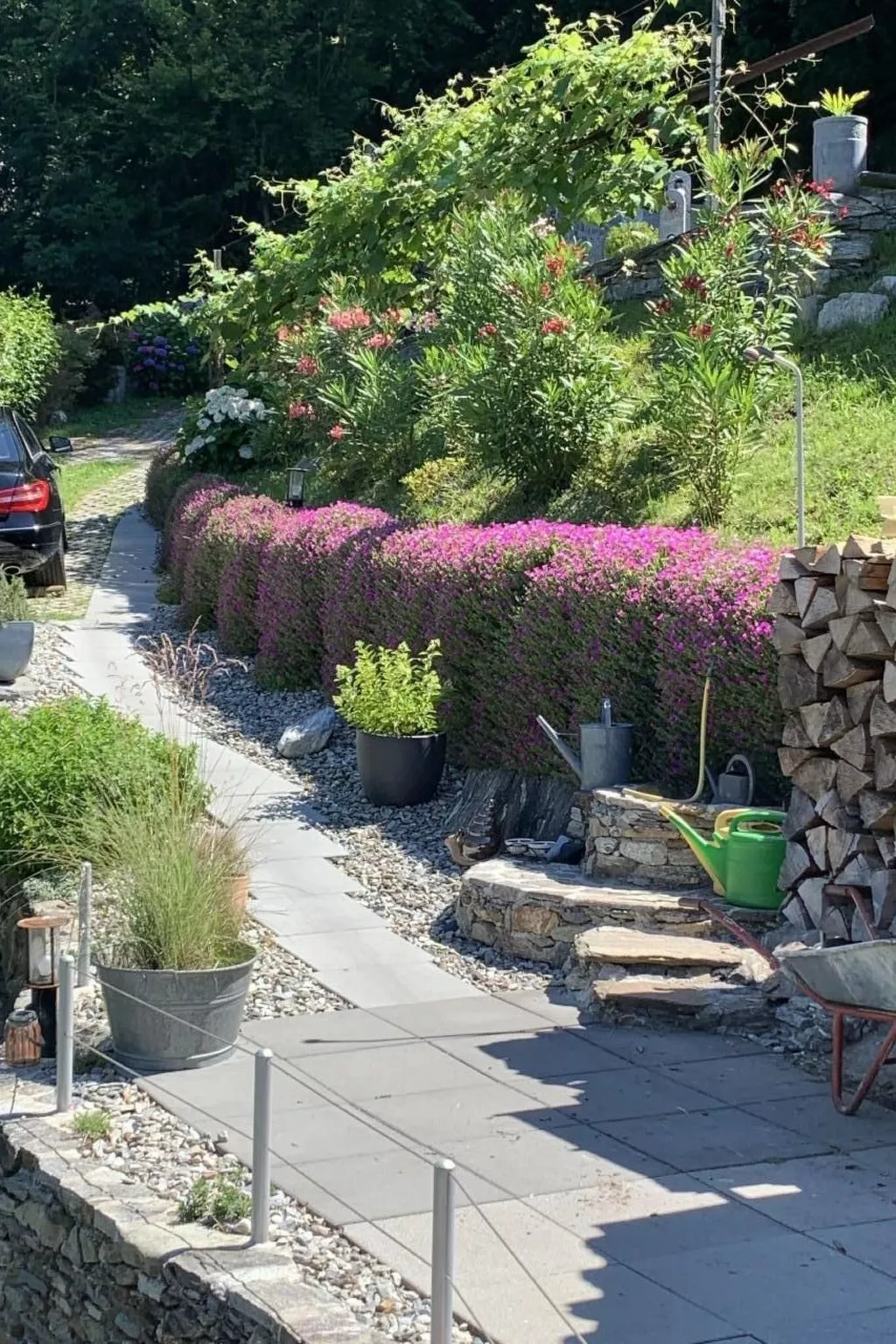 Rustico Motto della Capra