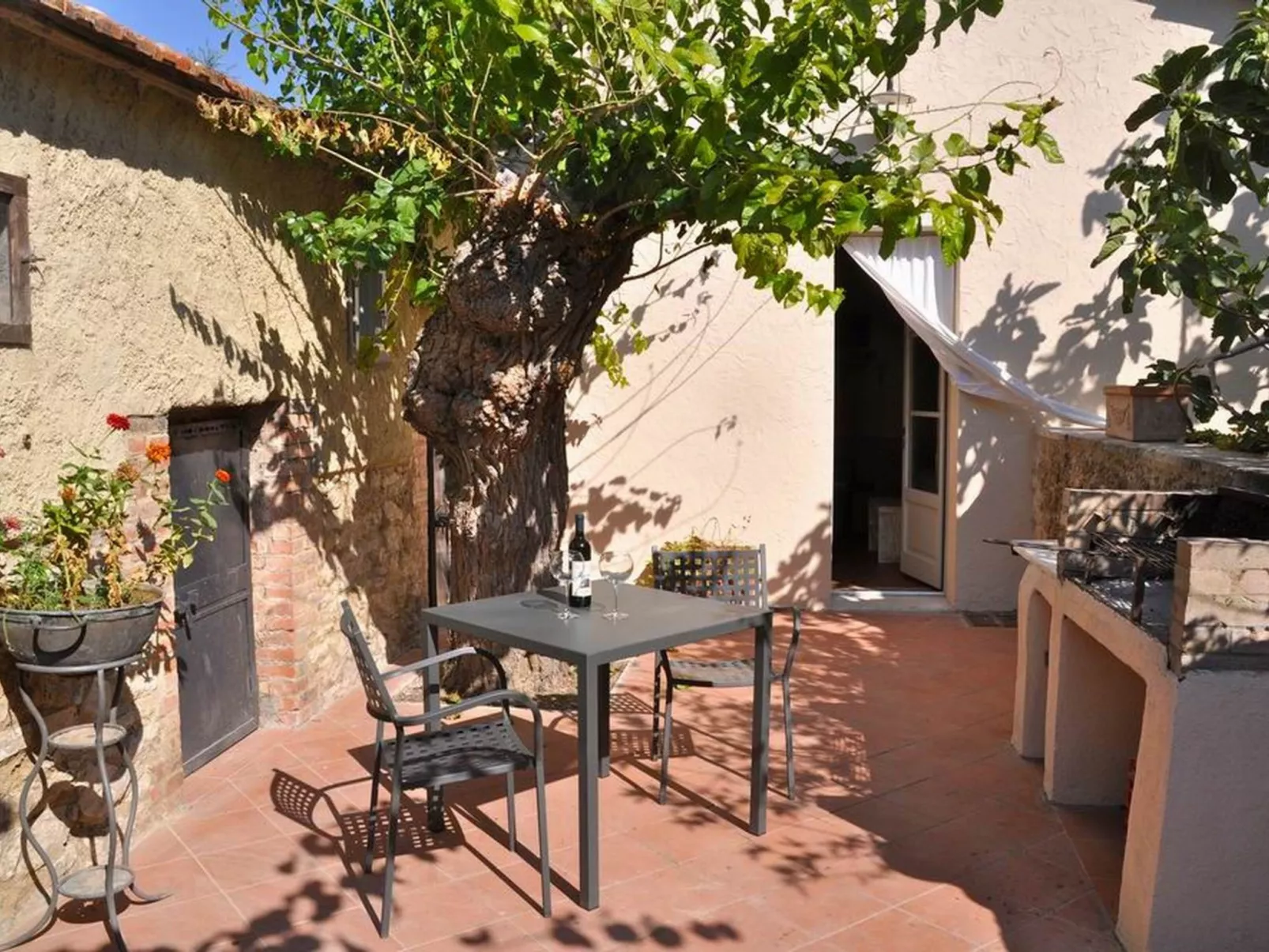 'Molinello albicocco'