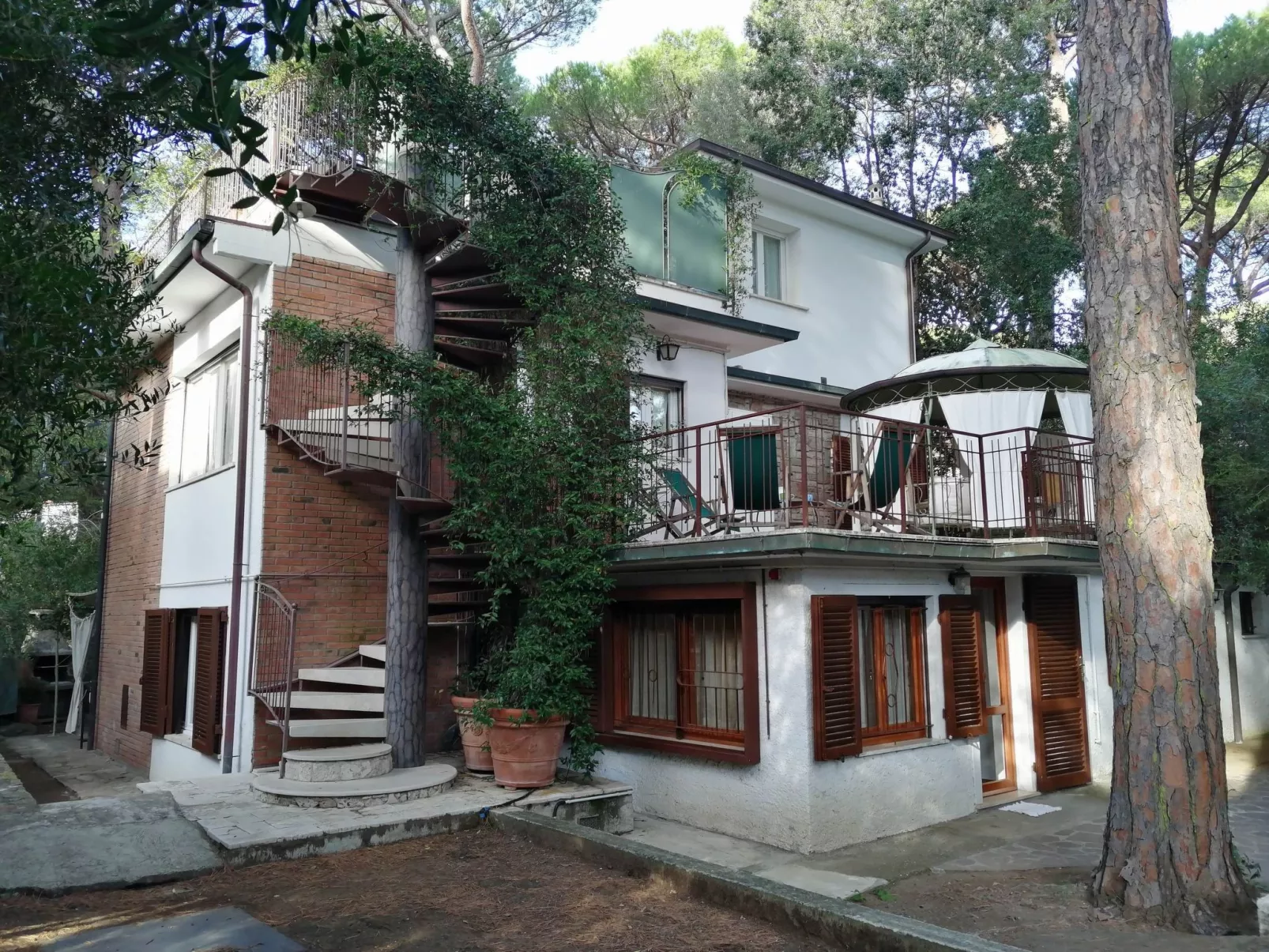 'Azalea' mit Terrasse