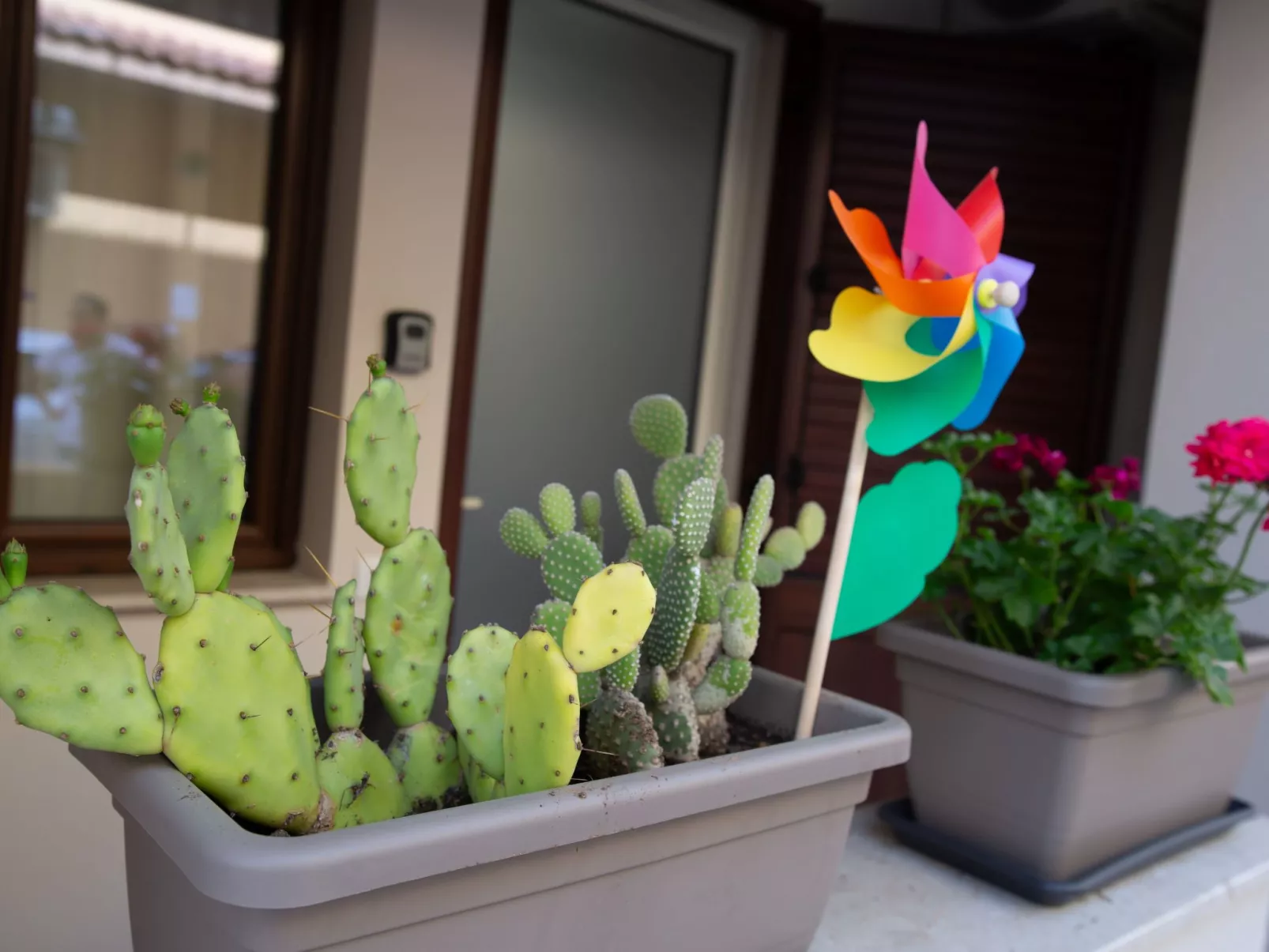 Unknown Accommodation