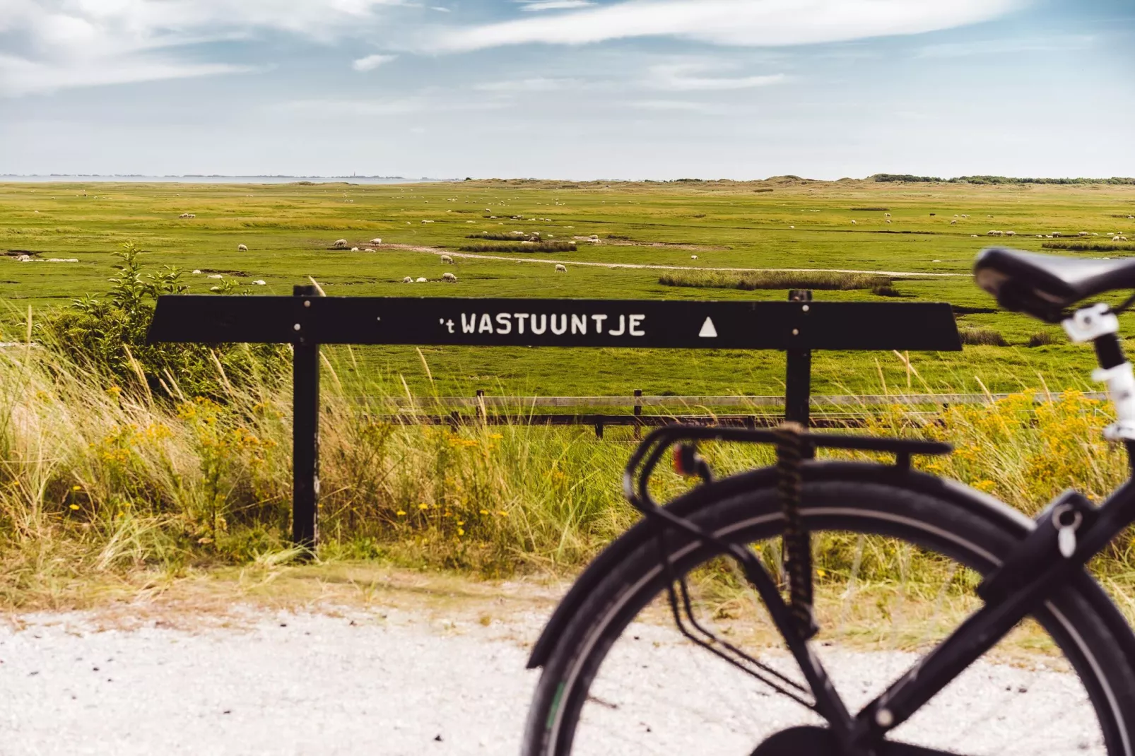 Vakantiepark Boomhiemke 15-Gebieden zomer 5km