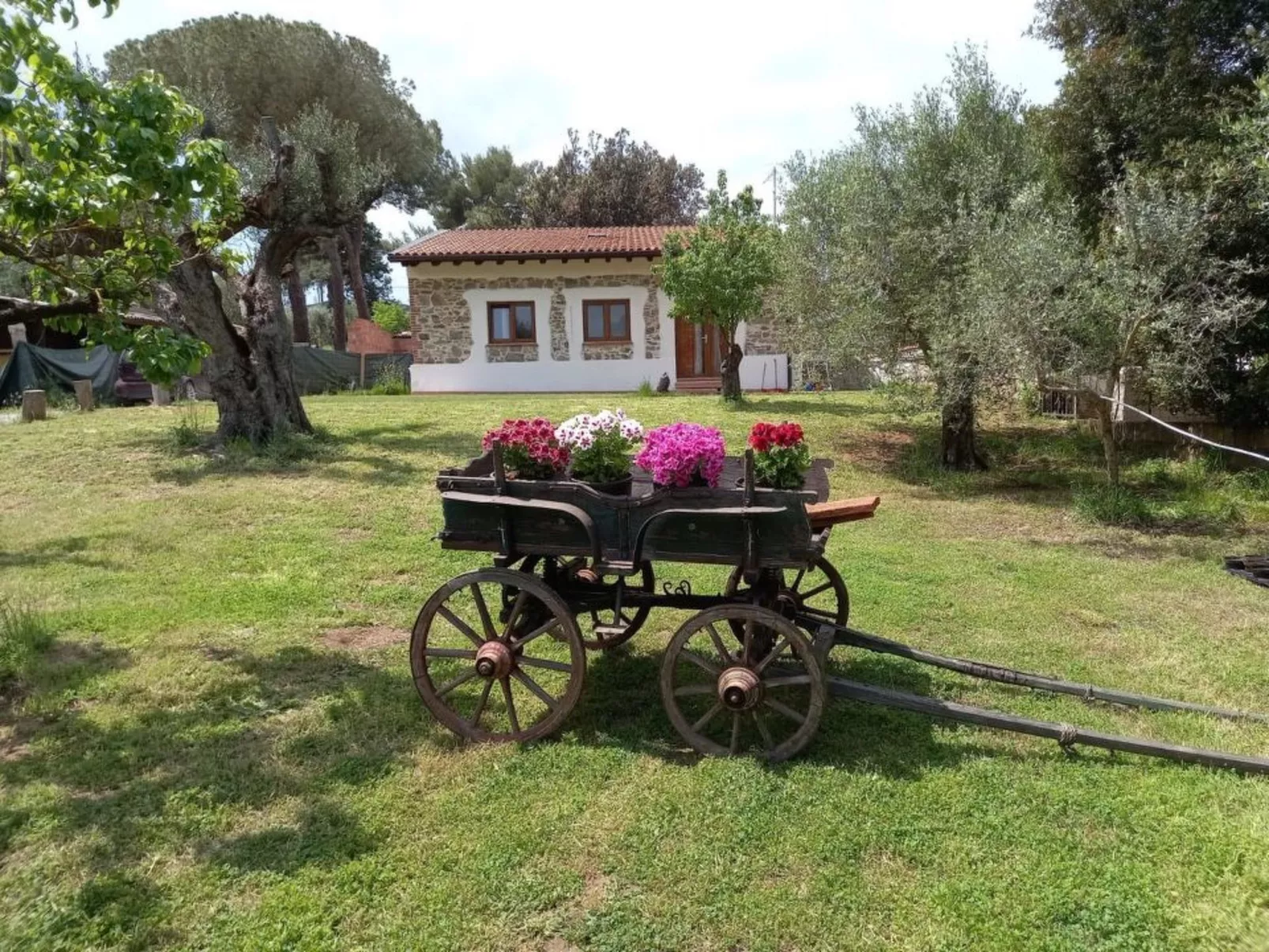 "Giotto" mit Terrasse