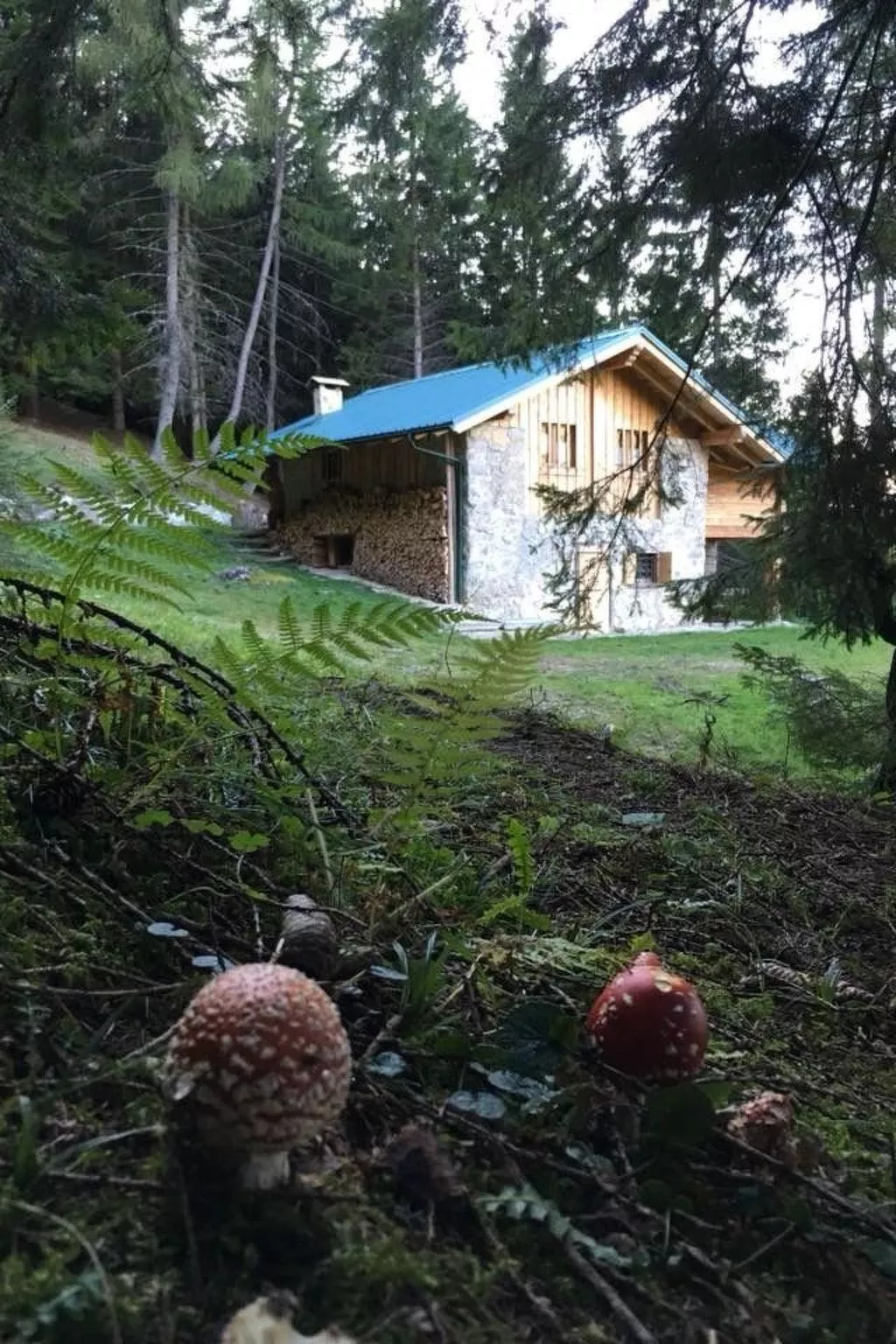 Mit Sauna in Pieve Di Bono