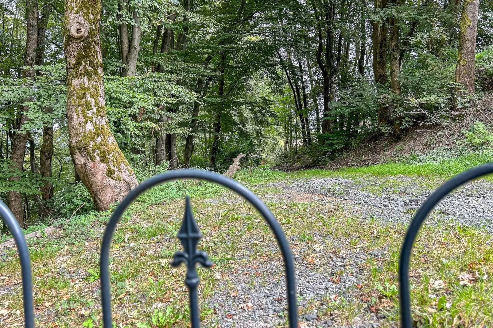 Am Wald-Uitzicht zomer