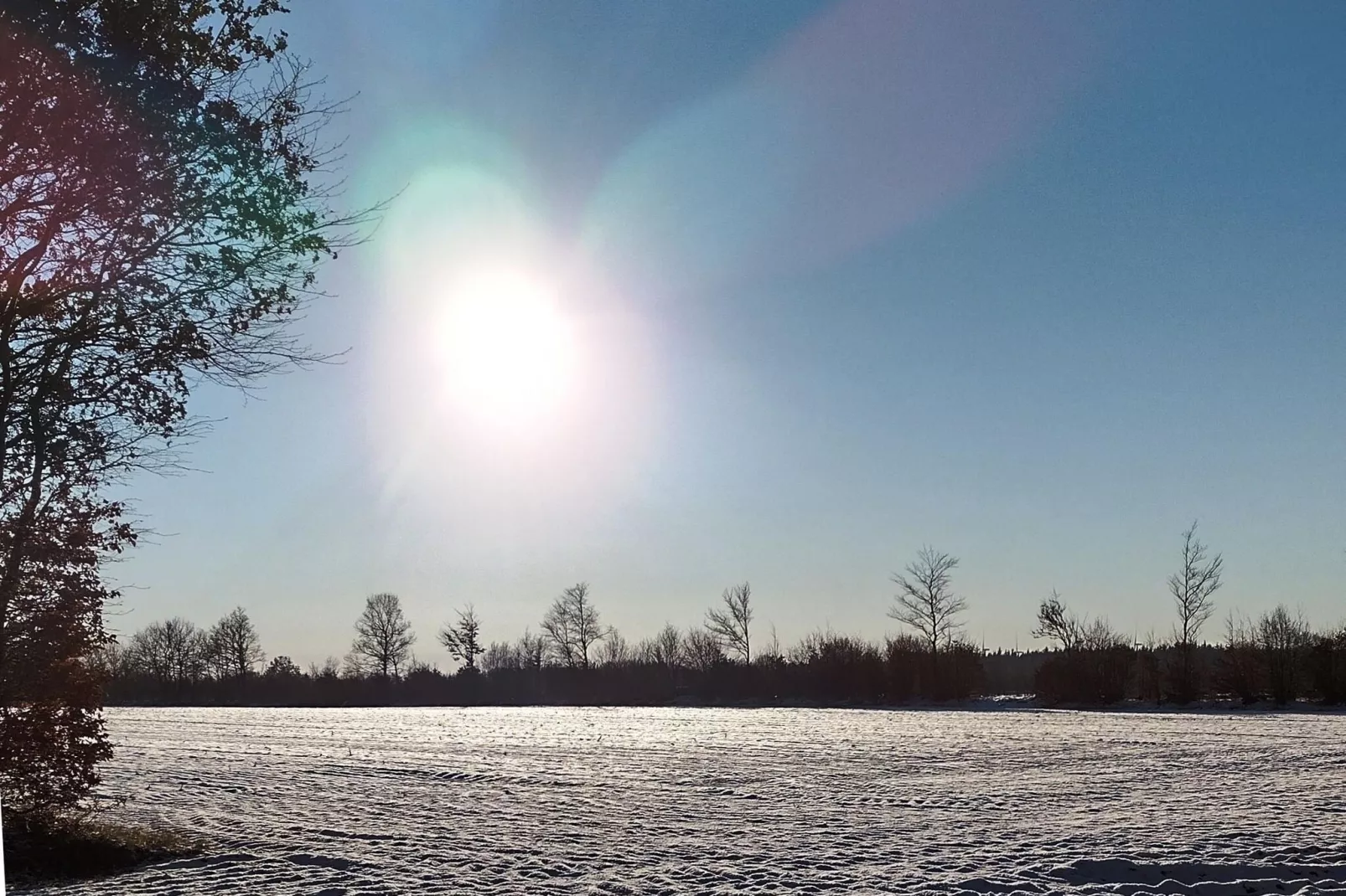 "An der Treene"-Gebied winter 20km