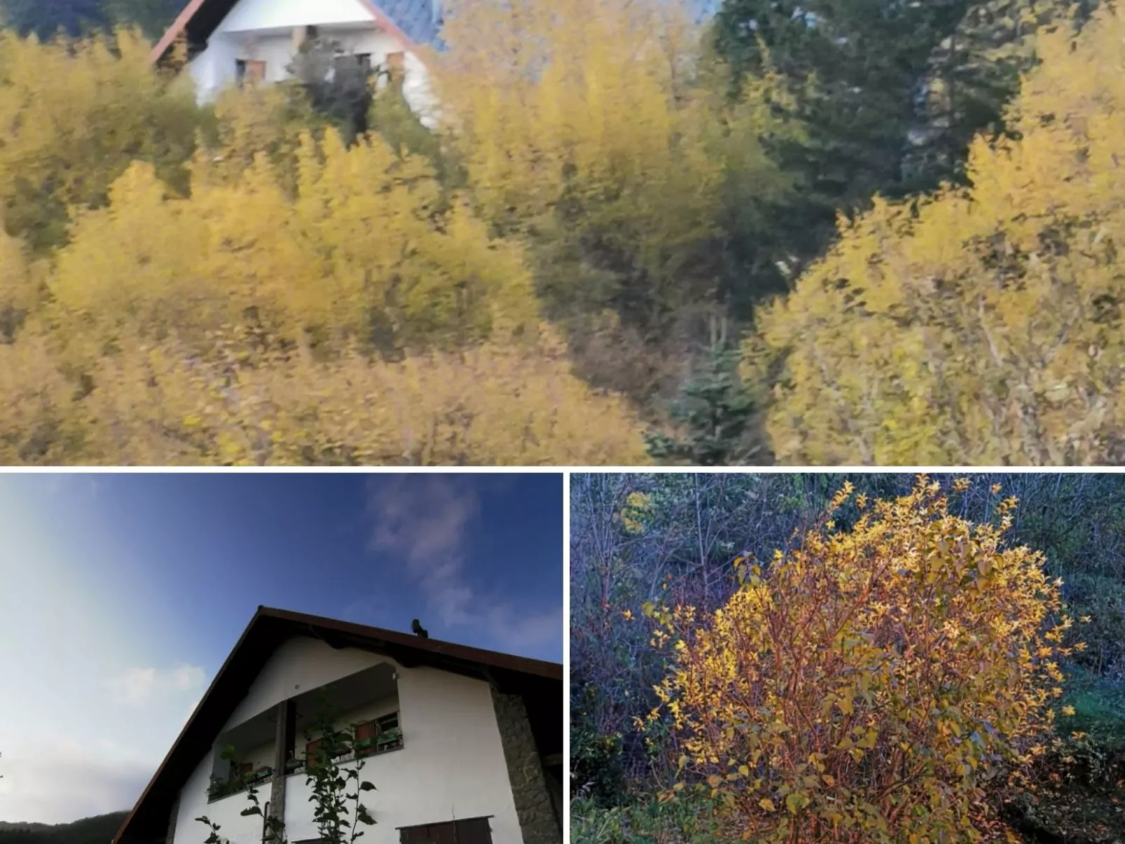 Chalet 'Perle des Höhenweges'