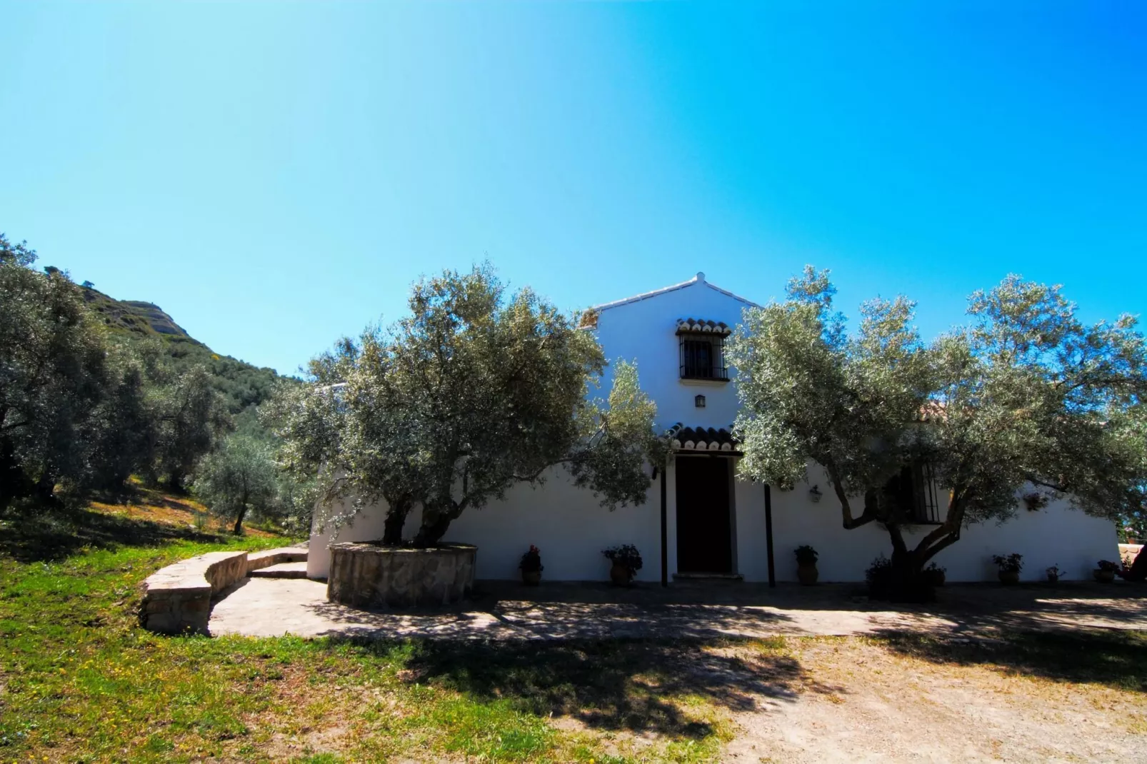 Cortijo Los Olivos-Buitenkant zomer