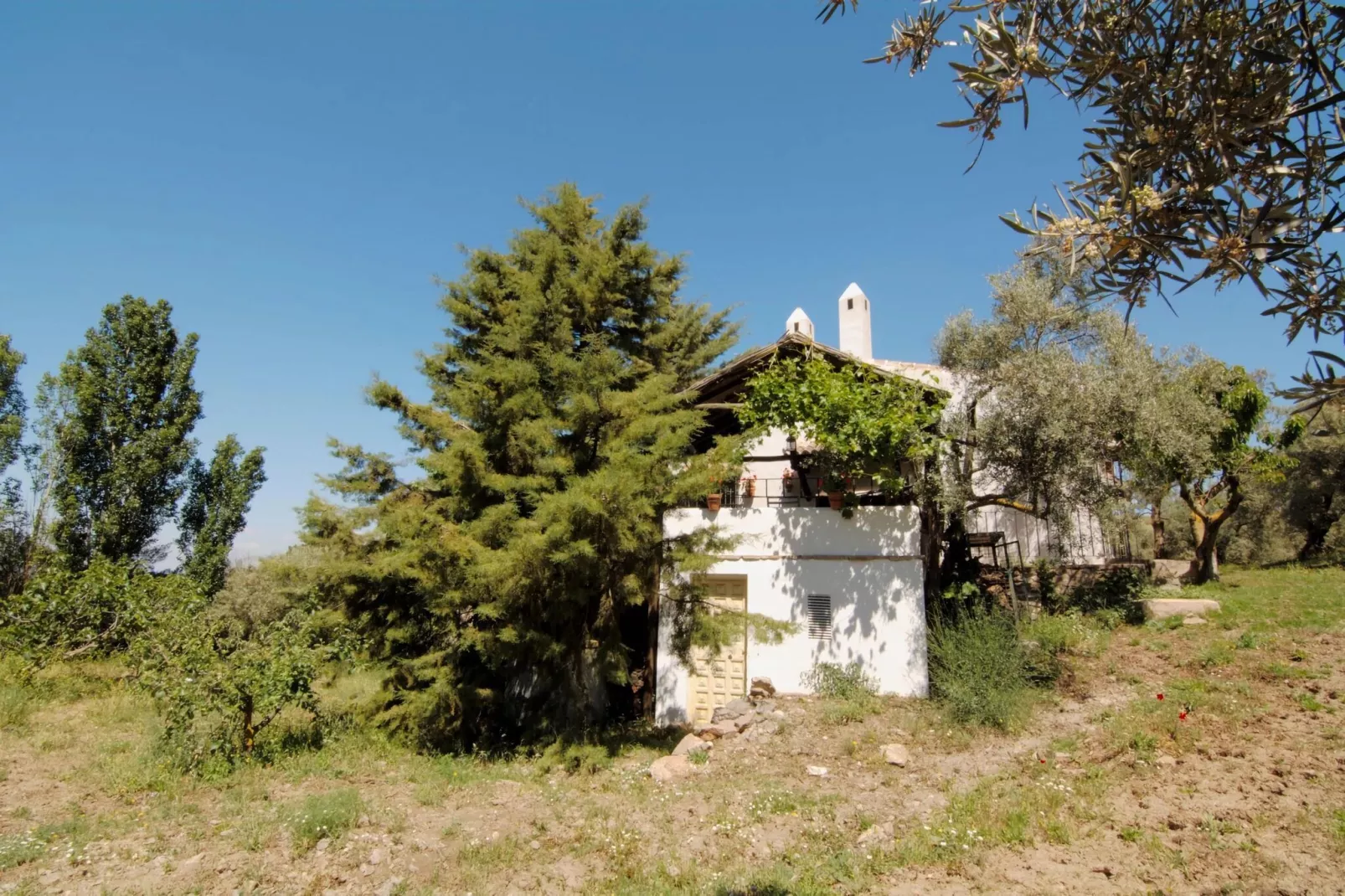 Cortijo Los Olivos-Tuinen zomer