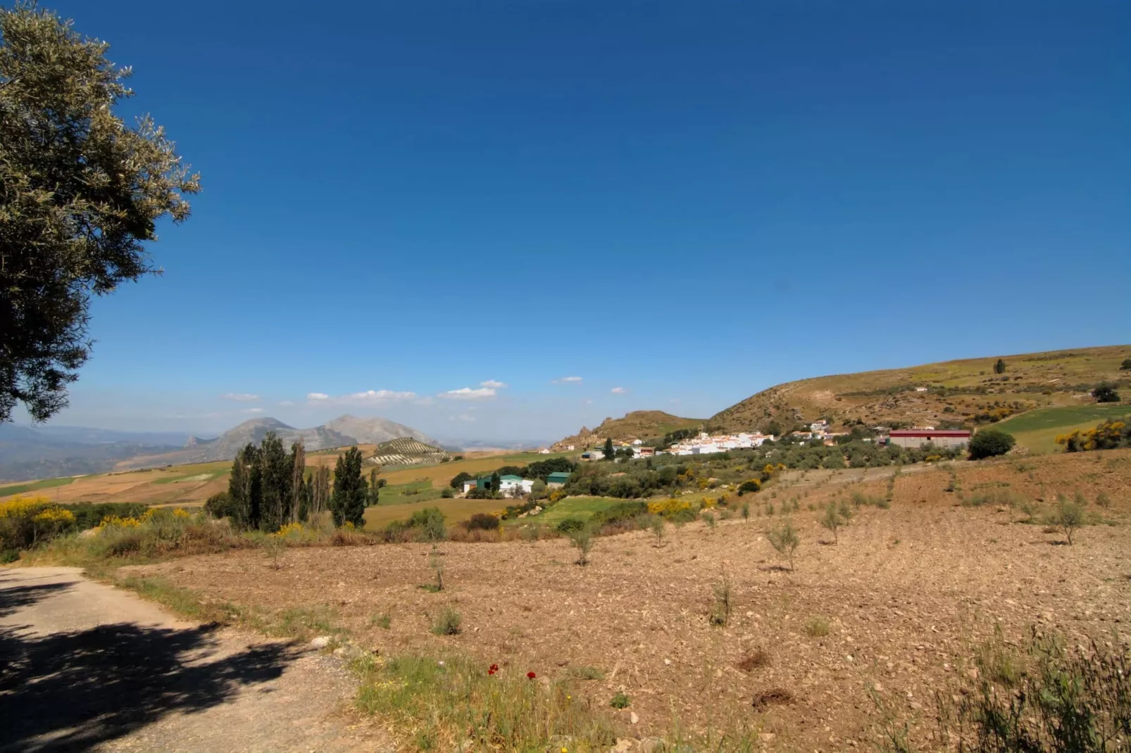 Cortijo Los Olivos-Gebieden zomer 1km