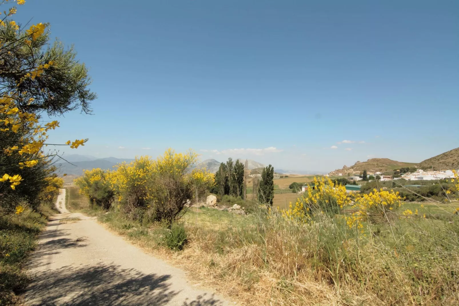 Cortijo Los Olivos-Gebieden zomer 1km