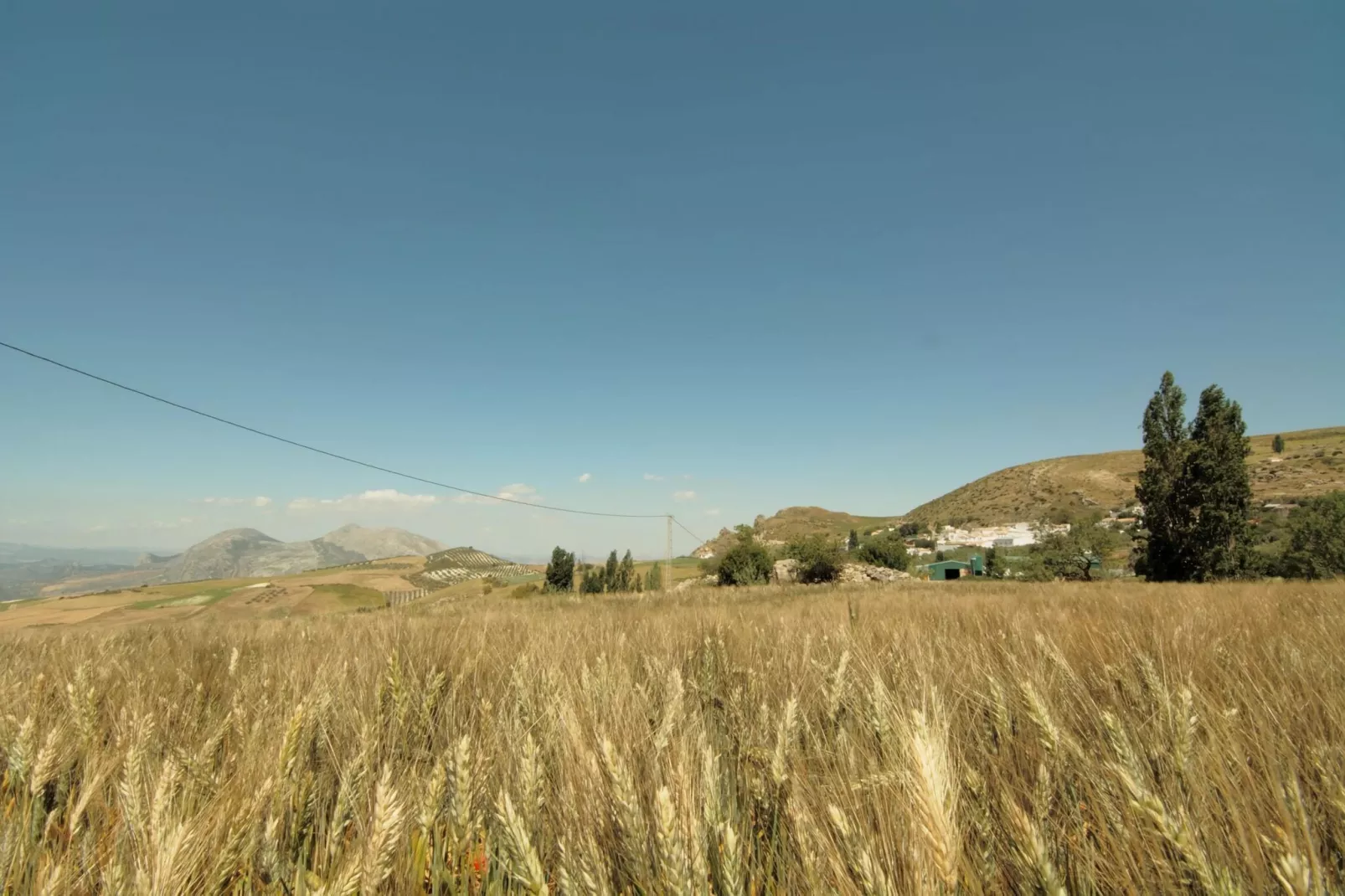 Cortijo Los Olivos-Gebieden zomer 5km