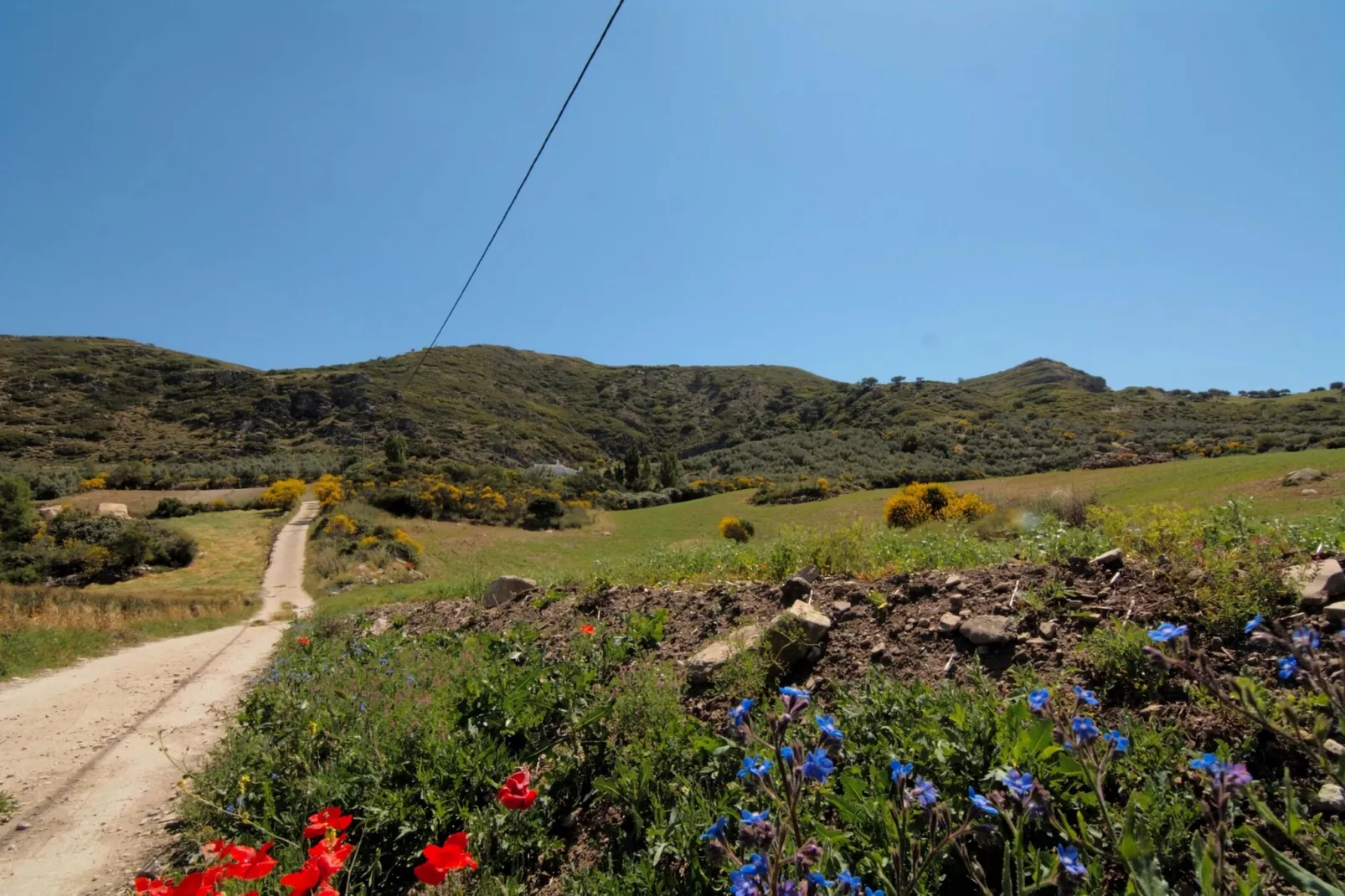 Cortijo Los Olivos-Gebieden zomer 5km