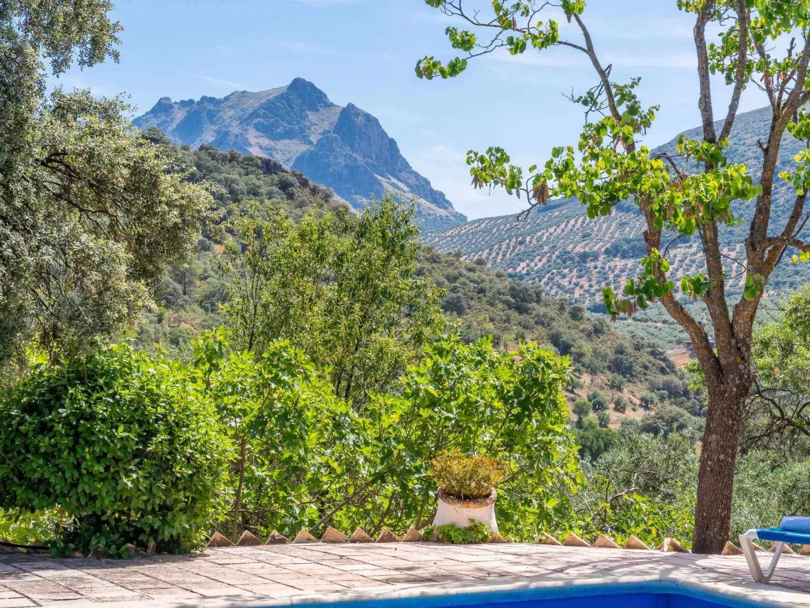 Cerro de la Cruz,charmantes Bauernhaus mit bester Aussicht,im Zentrum Andalusie