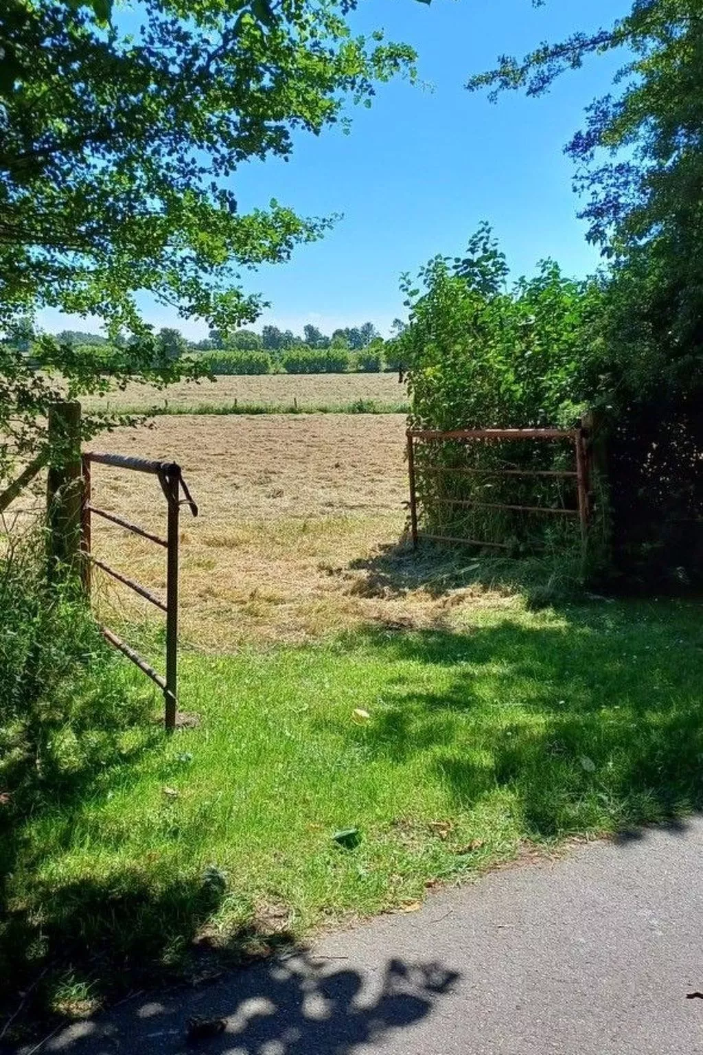 Möllis Ferienwohnung-Image-tags.info