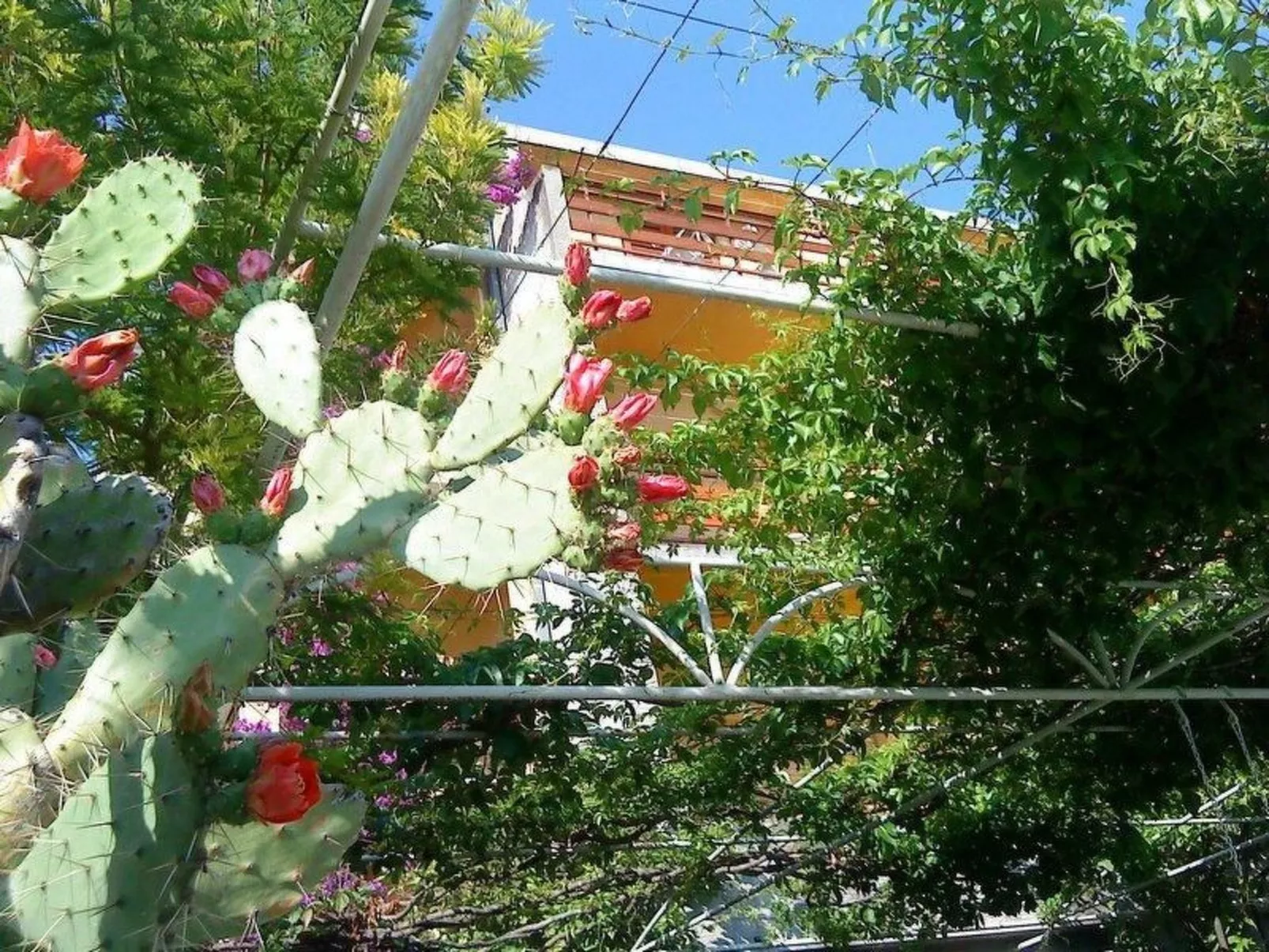 "Levant Ventus Makarska"-Image-tags.info