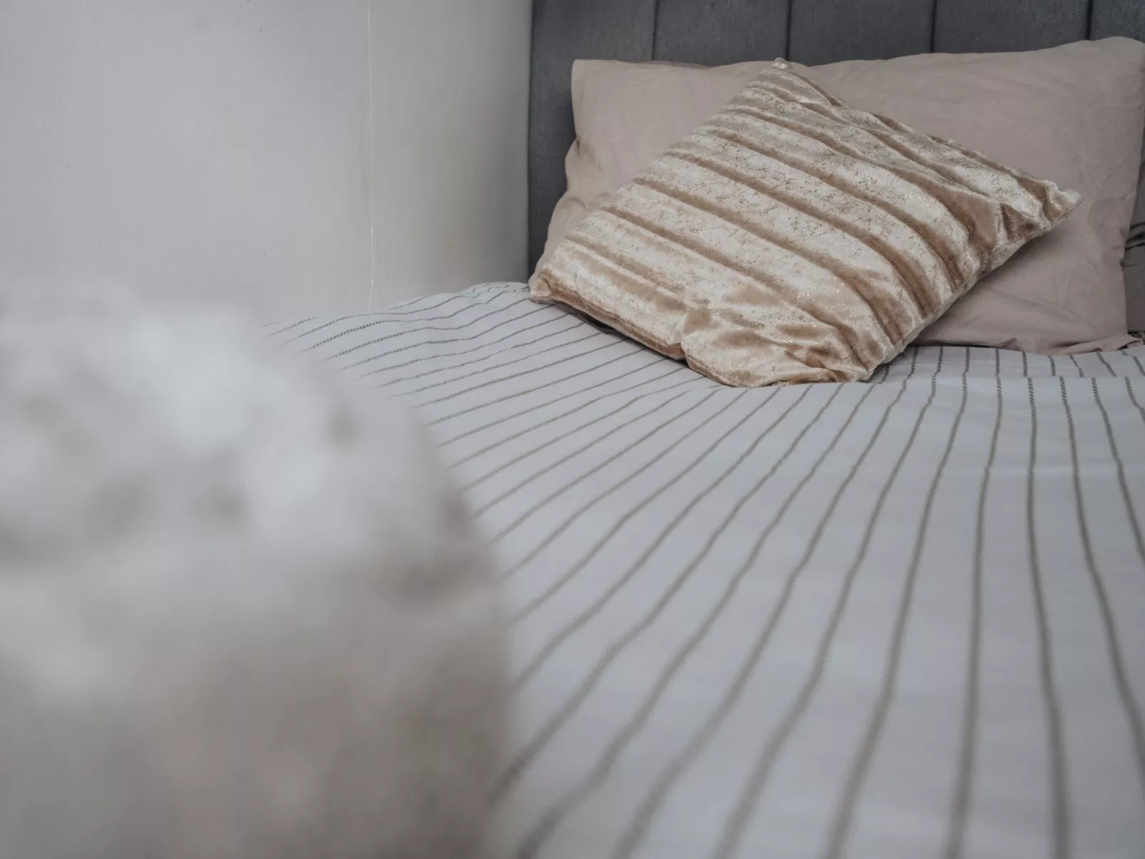 Kostenloses Parken Perfekt für lange monatliche Aufenthalte Für 6 Personen