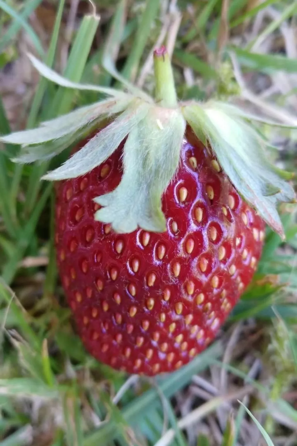 Appartement in Vordorfermühle mit Garten