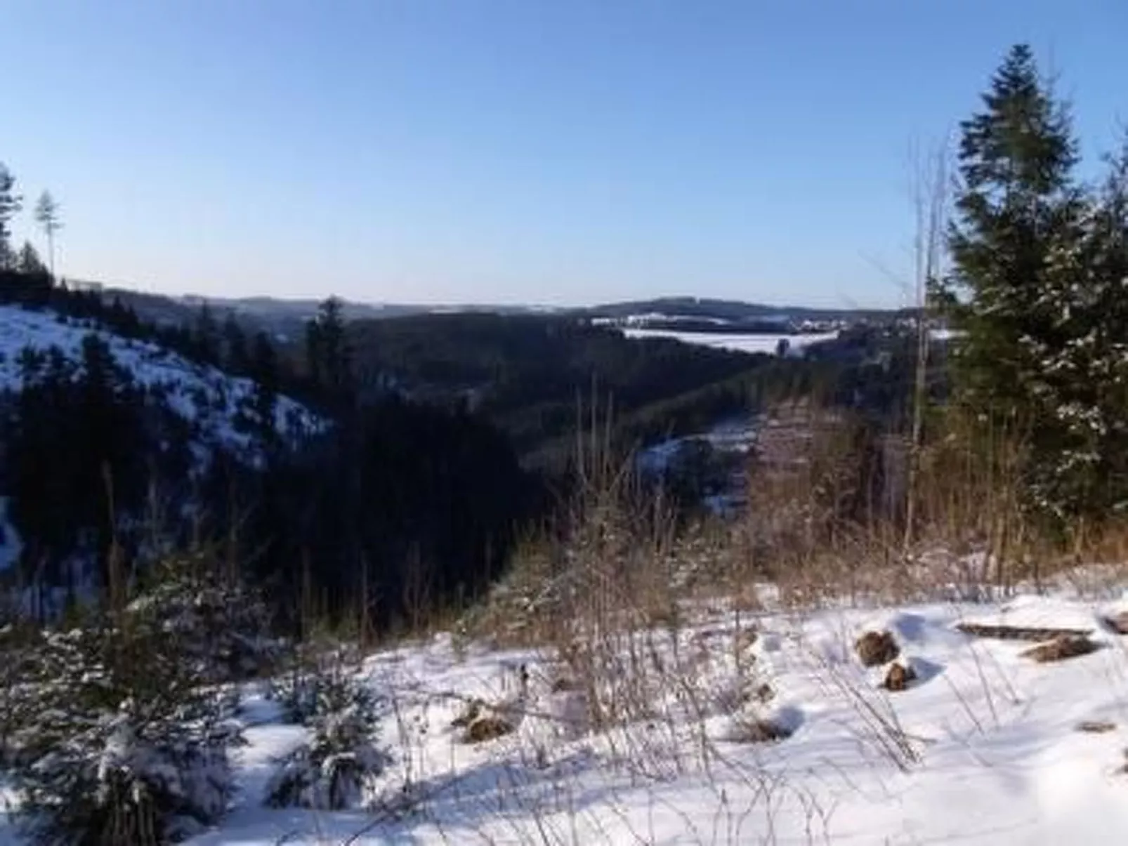 Mietz-Image-tags.info