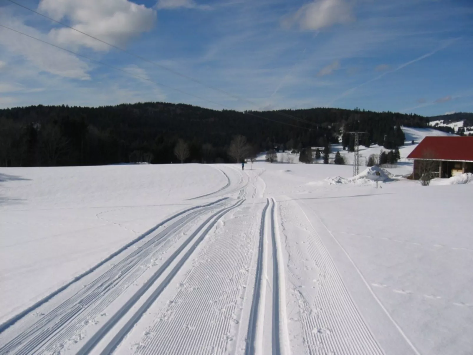 Appartement in Wittenschwand
