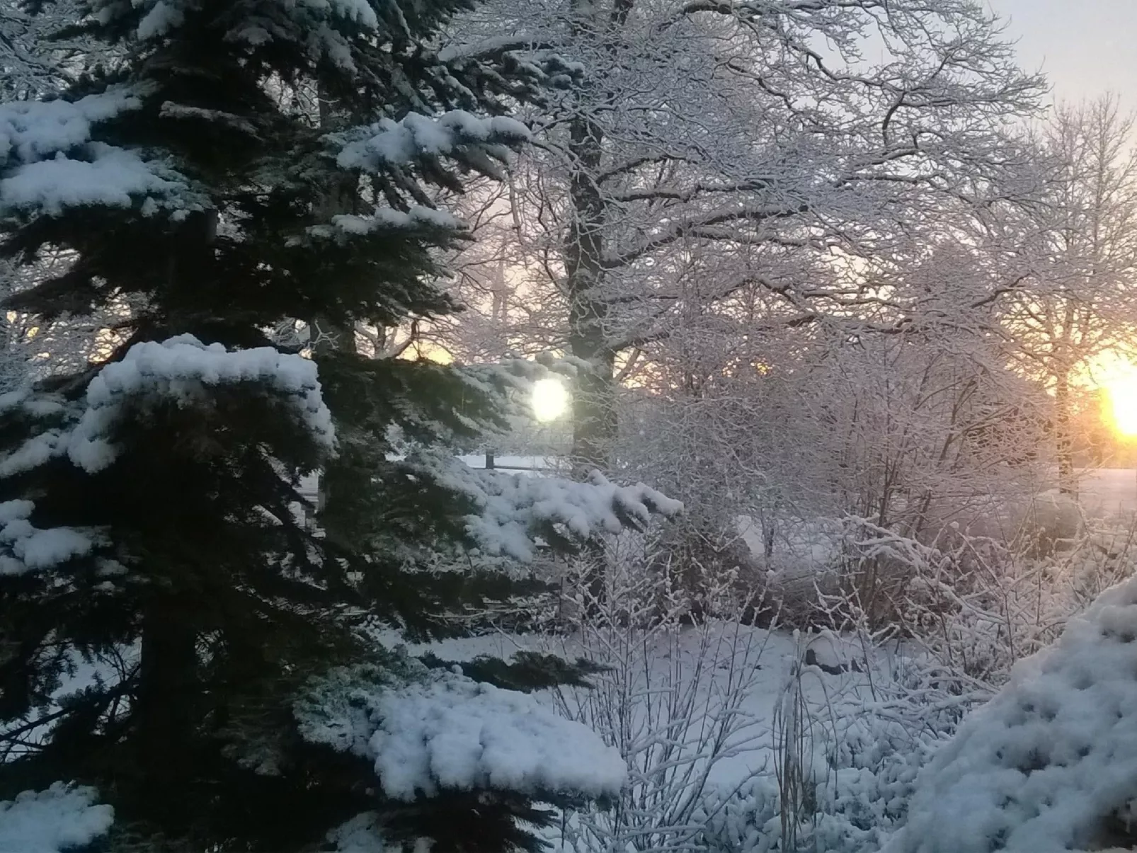 Zentrale Ferienwohnung mit Terrasse - Buiten