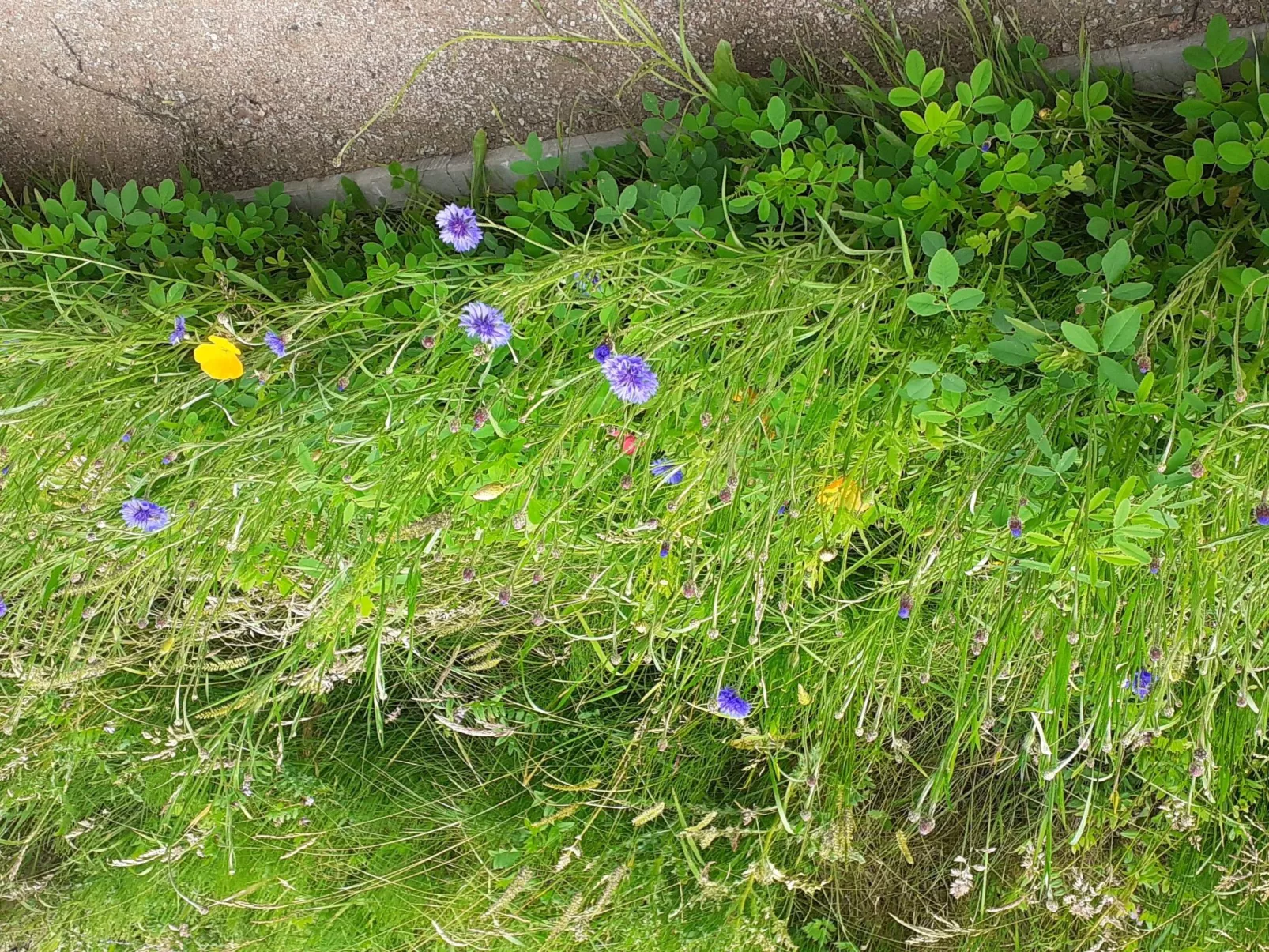 Sonnige Ferienwohnung in ländlicher Umgebung