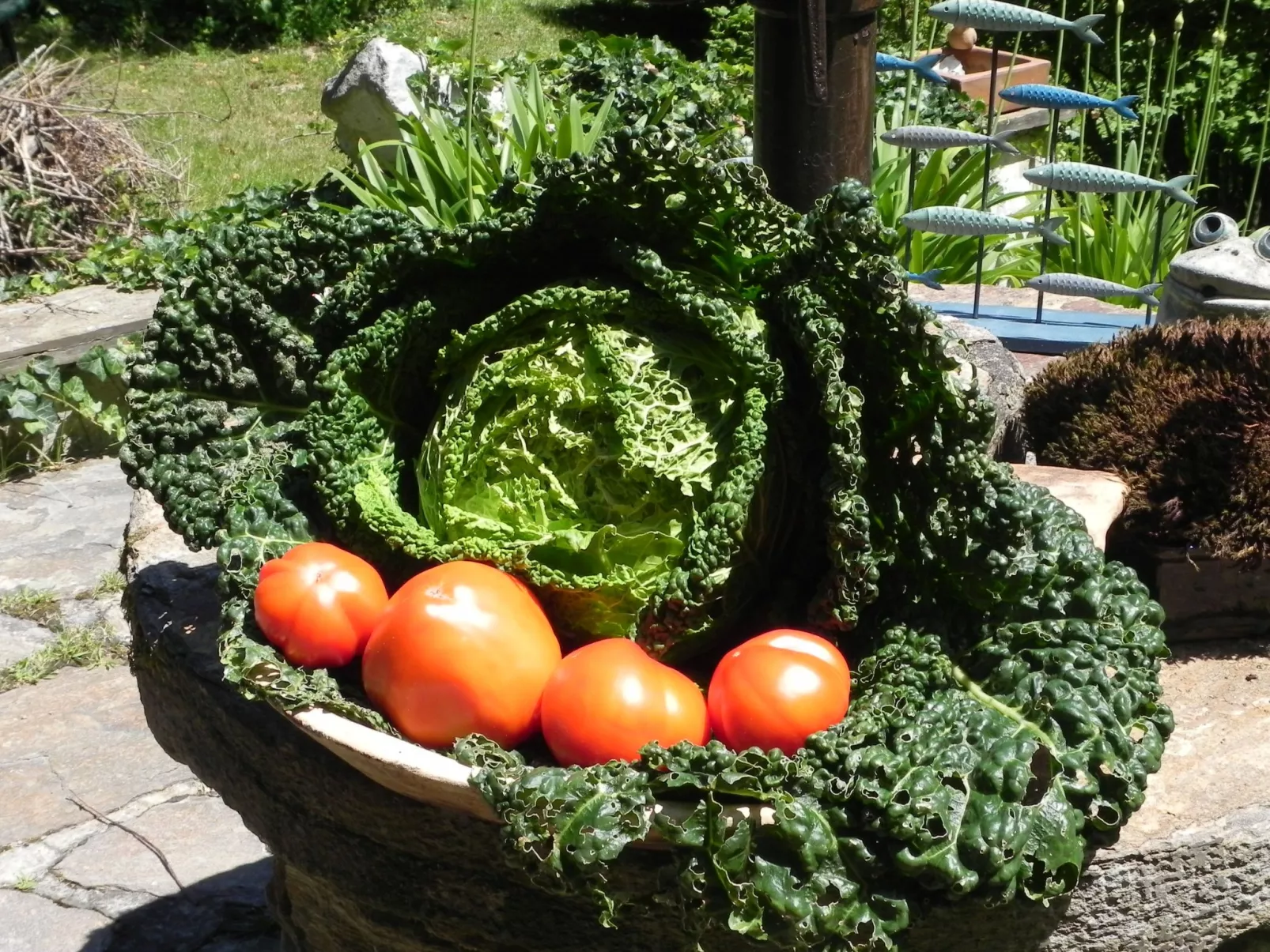 Himmelreichmühle in Sausal-Image-tags.info