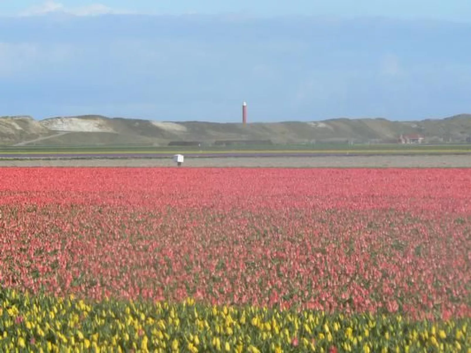 Schönes Ferienhaus Strandopgang in Julianadorp