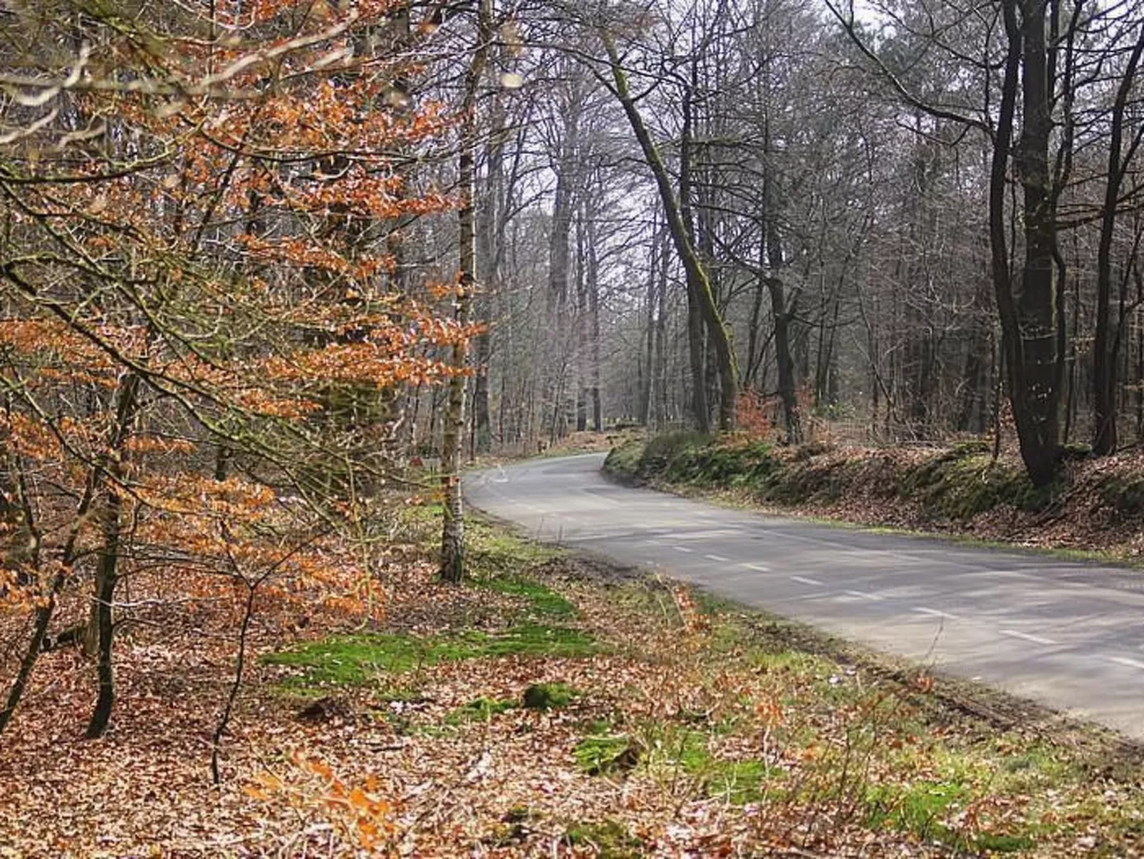Anwesen "Oranjehorst"-Buiten