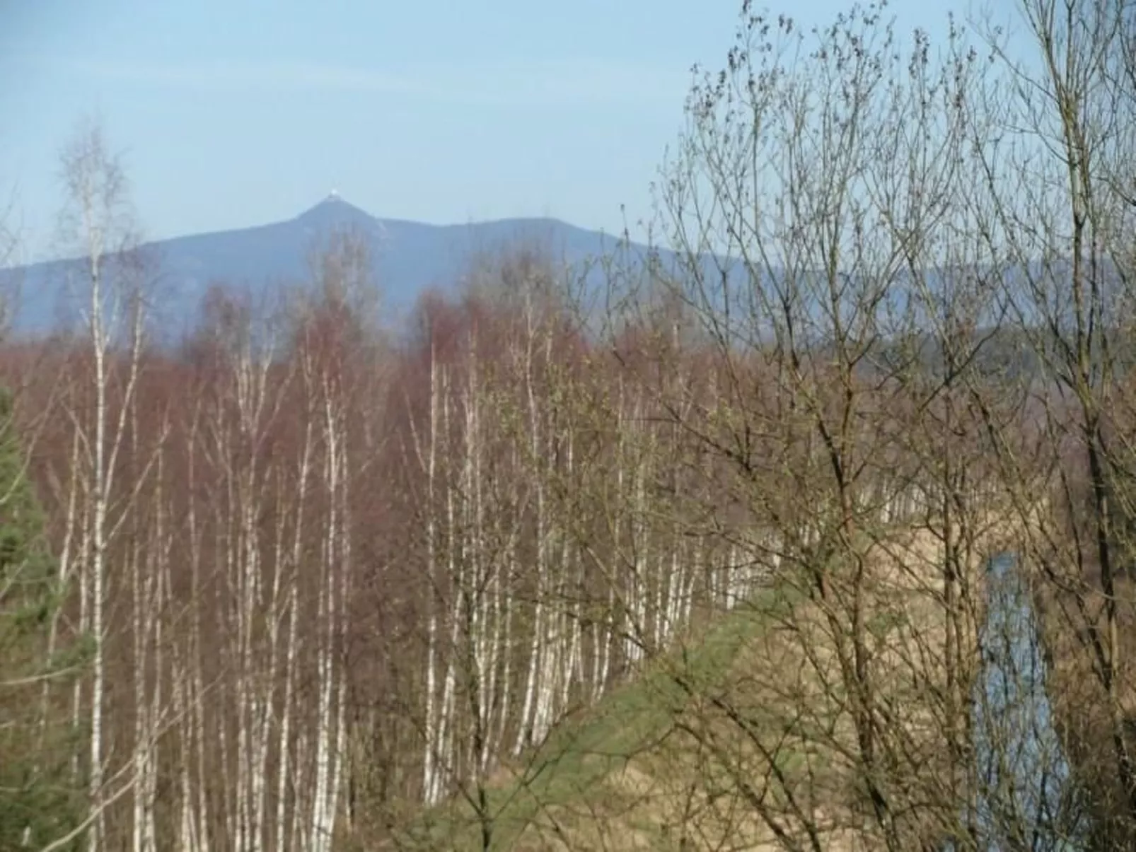 Traditionelles Haus, umgeben von Wäldern in Ralsko