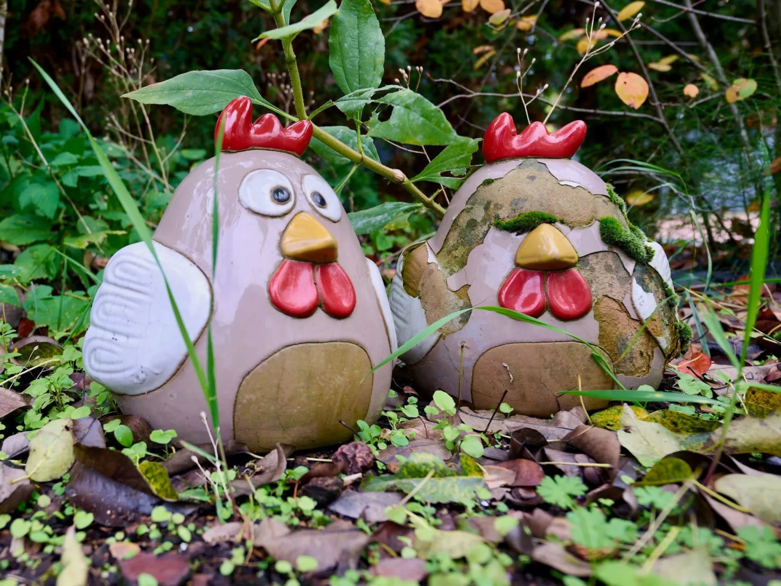 Schönes Ferienhaus in Brochterbeck mit Garten-Image-tags.info
