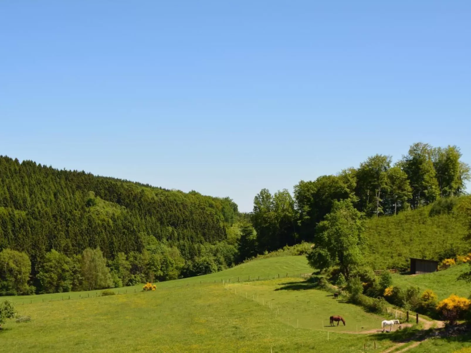 In Feldmannshof mit Grill und Garten