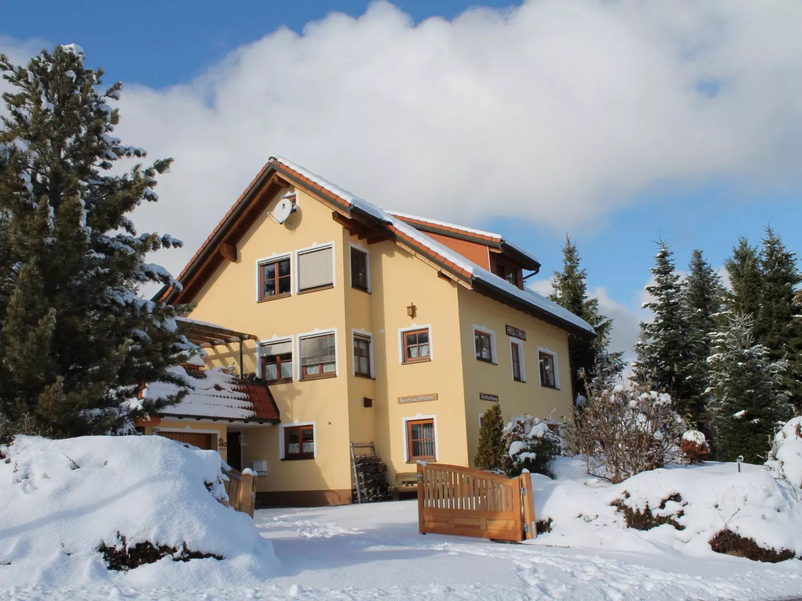 Carola-Image-tags.info