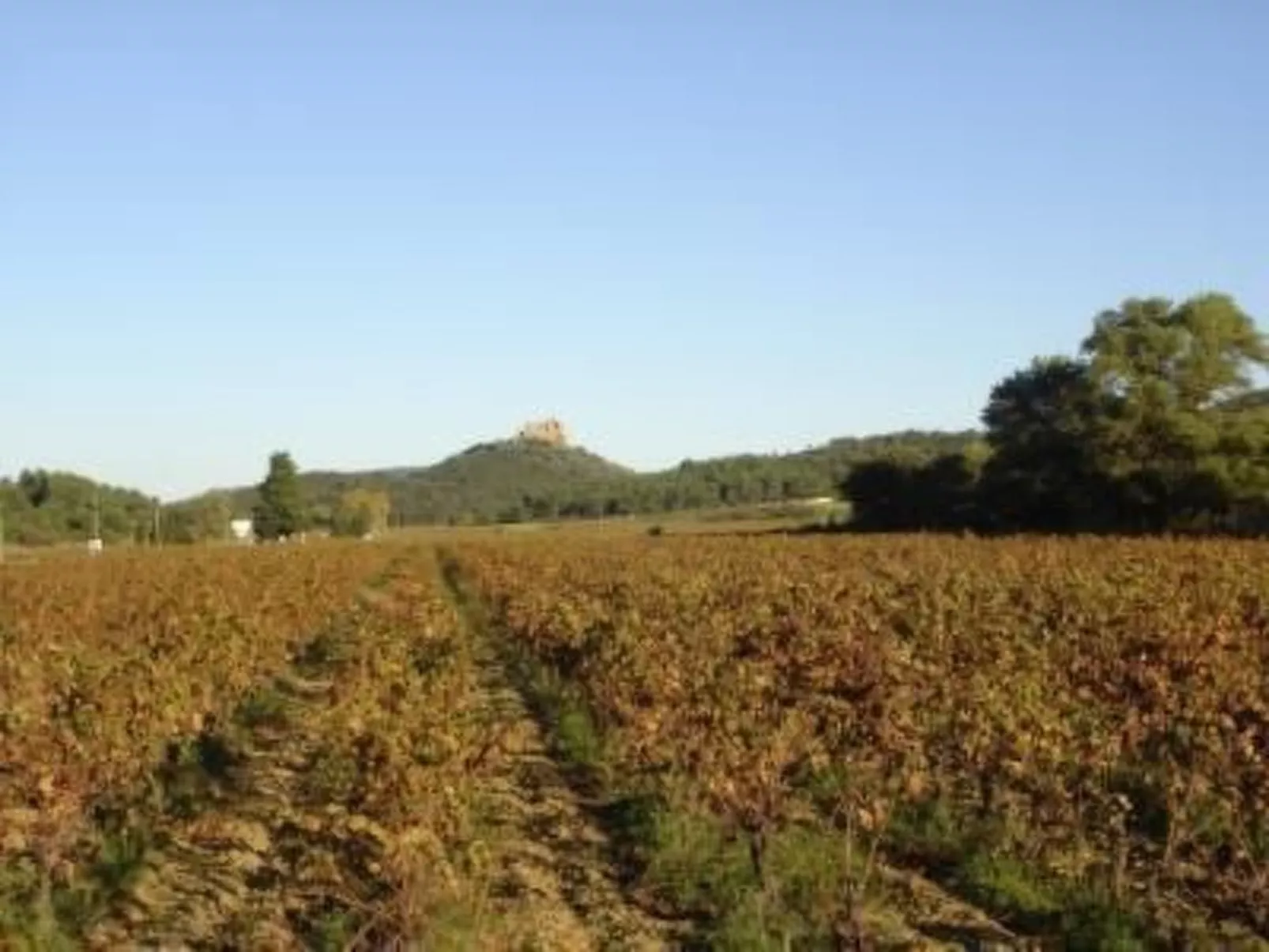 Schönes Ferienhaus mit Pool-Buiten