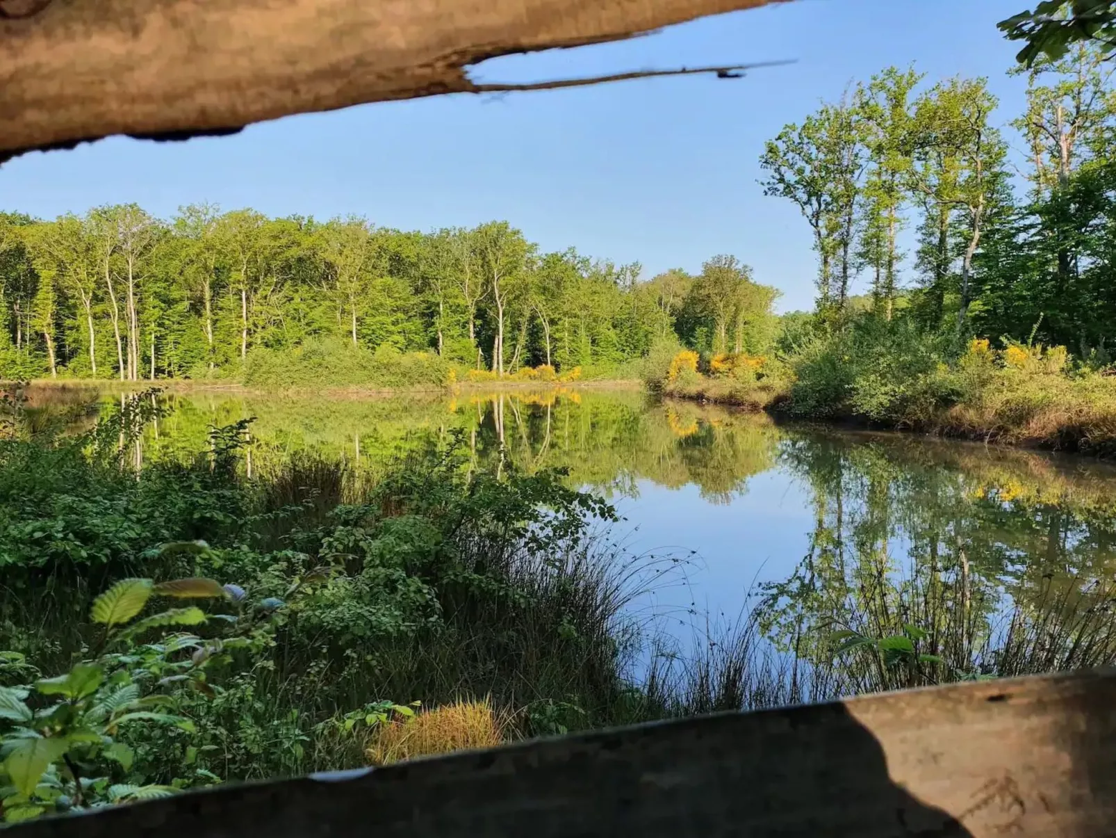 Landhaus mit eingezäuntem Garten