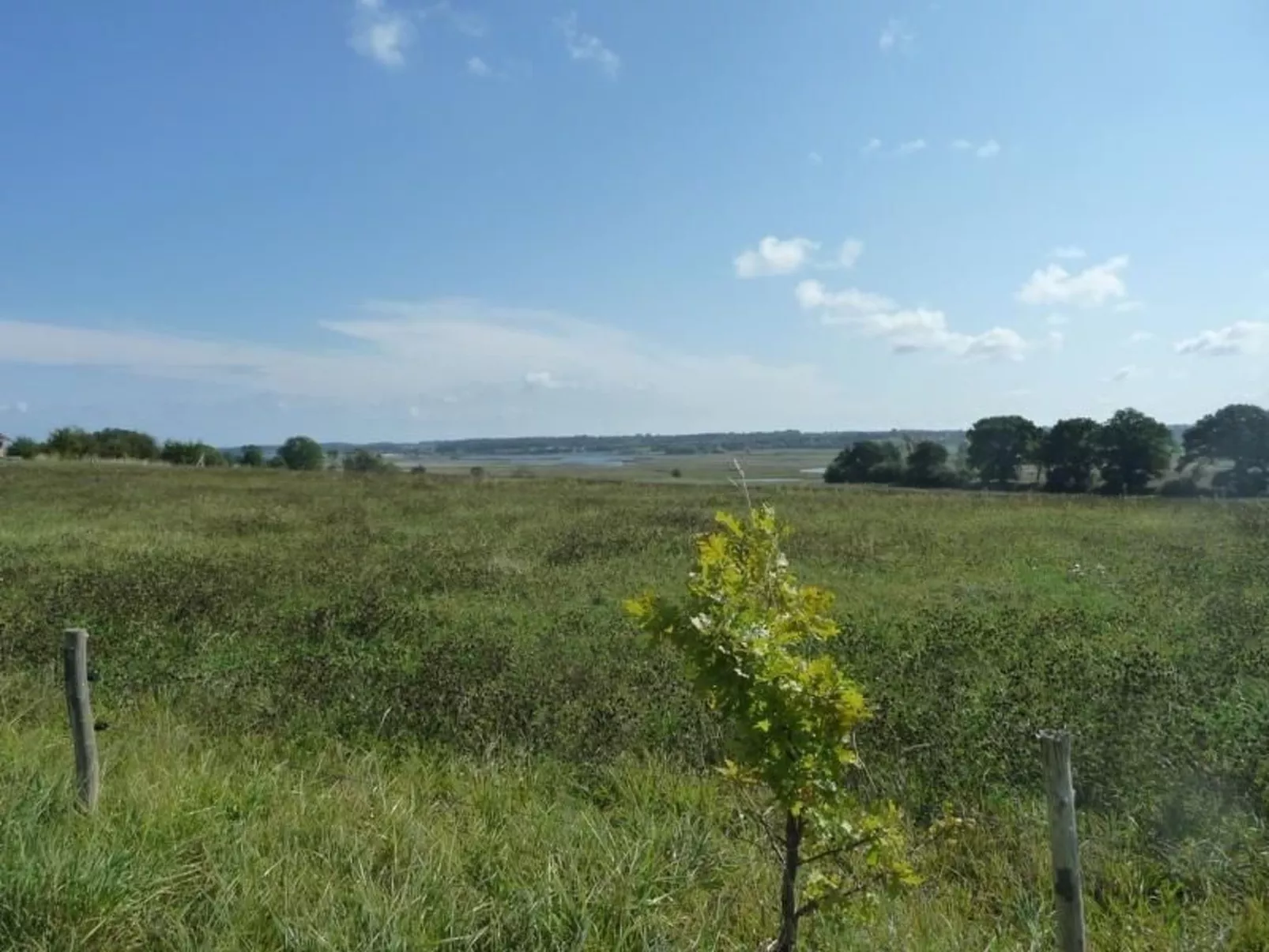 An den Tannen 31-Buiten