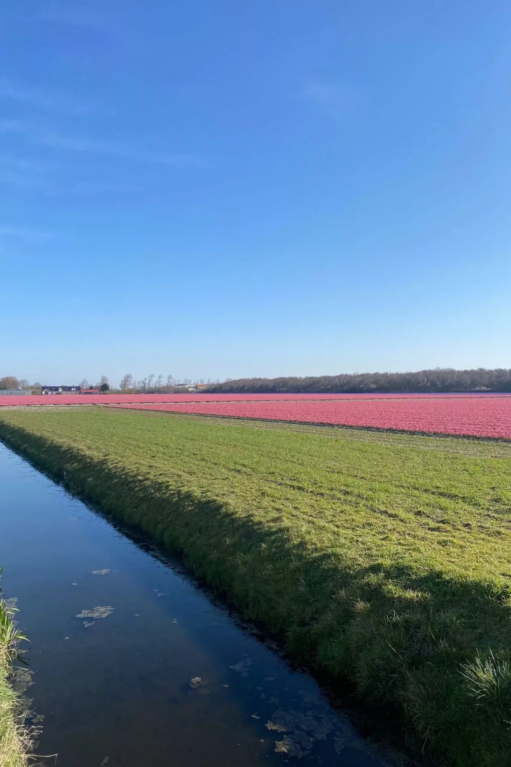 Mit gepflegtem Garten in Julianadorp