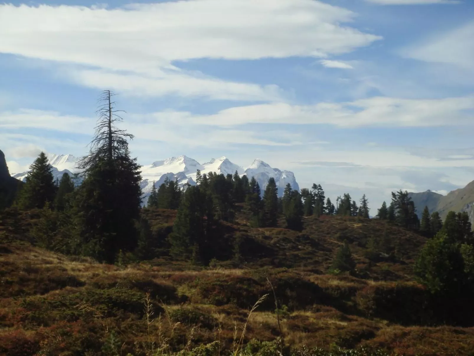 Alphütte Gental - Haslital-Buiten