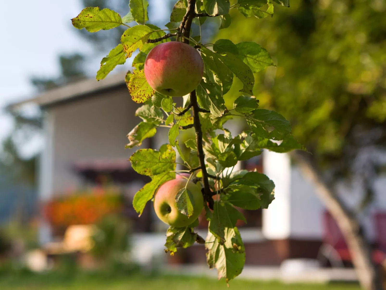 Mit Garten, Grill und Terrasse