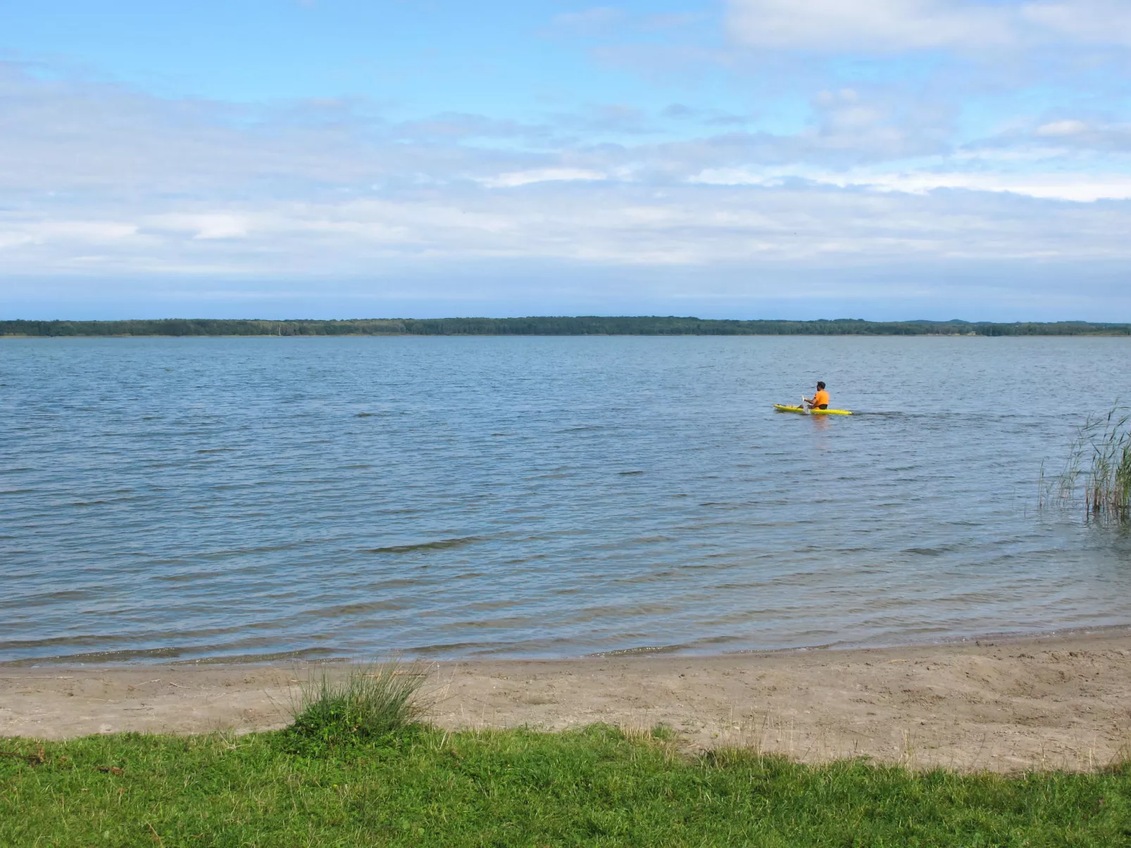 Direkt am Werbellinsee-Omgeving