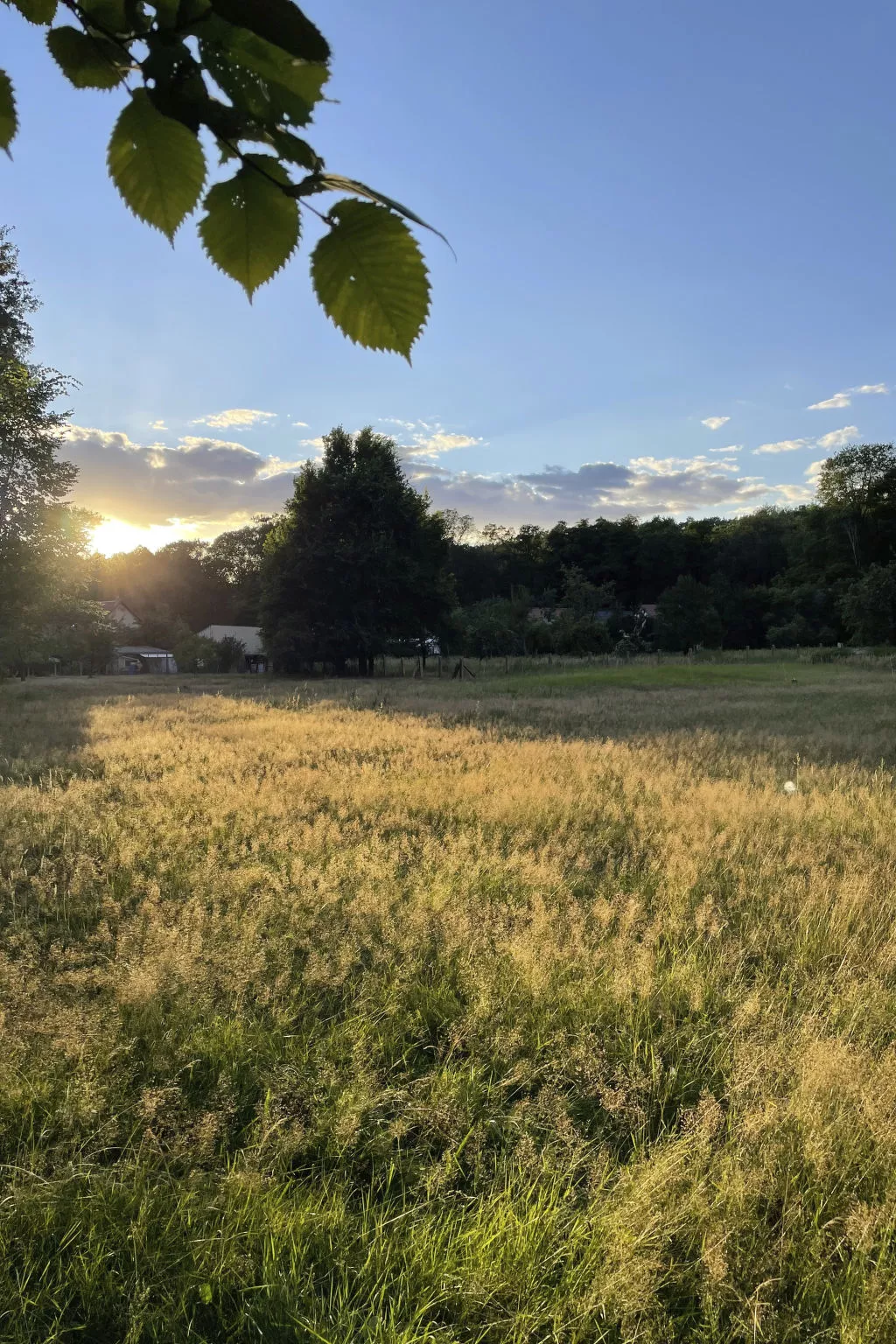 Spreewaldhaus am Landgut - Das Haupthaus