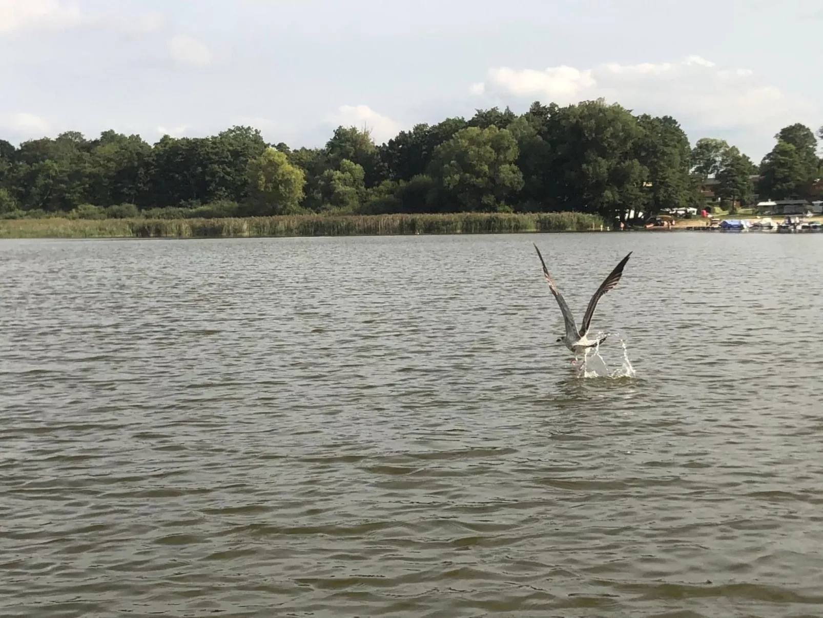 Mit Sauna und Kaminofen