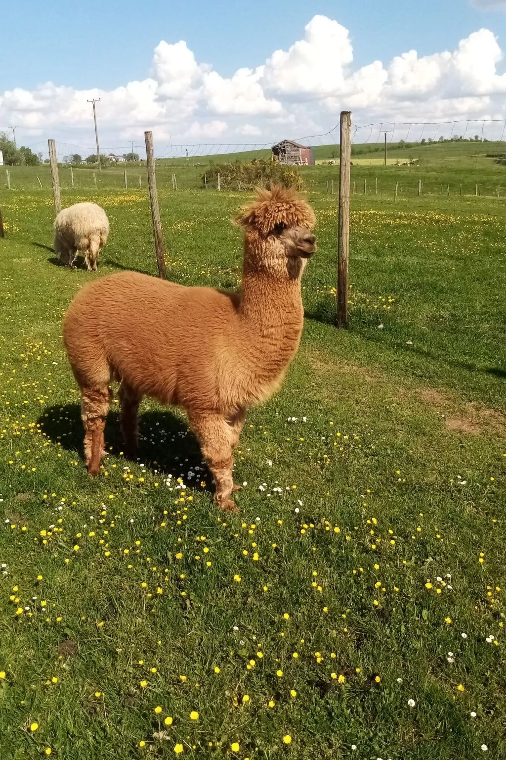 Herzfennerhof Loft-Buiten