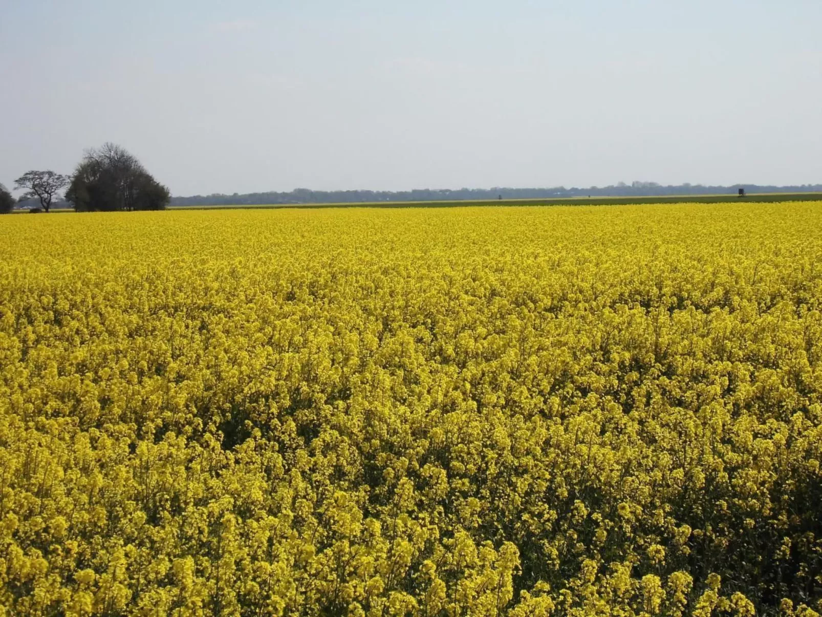 In Landschaftspolder mit Großem Garten-Buiten
